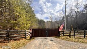 Lot 41 Black Maple Way Del Rio TN 37727
