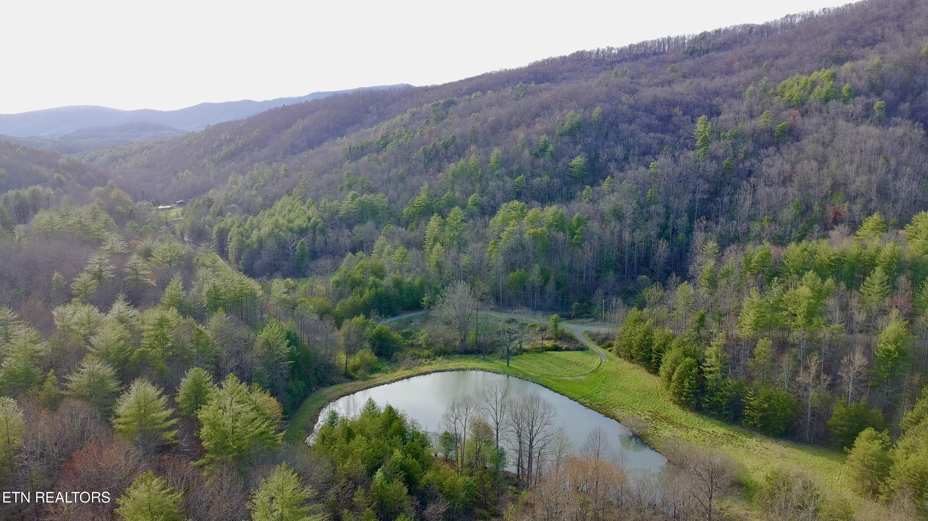 Lot 41 Black Maple Way Del Rio TN 37727