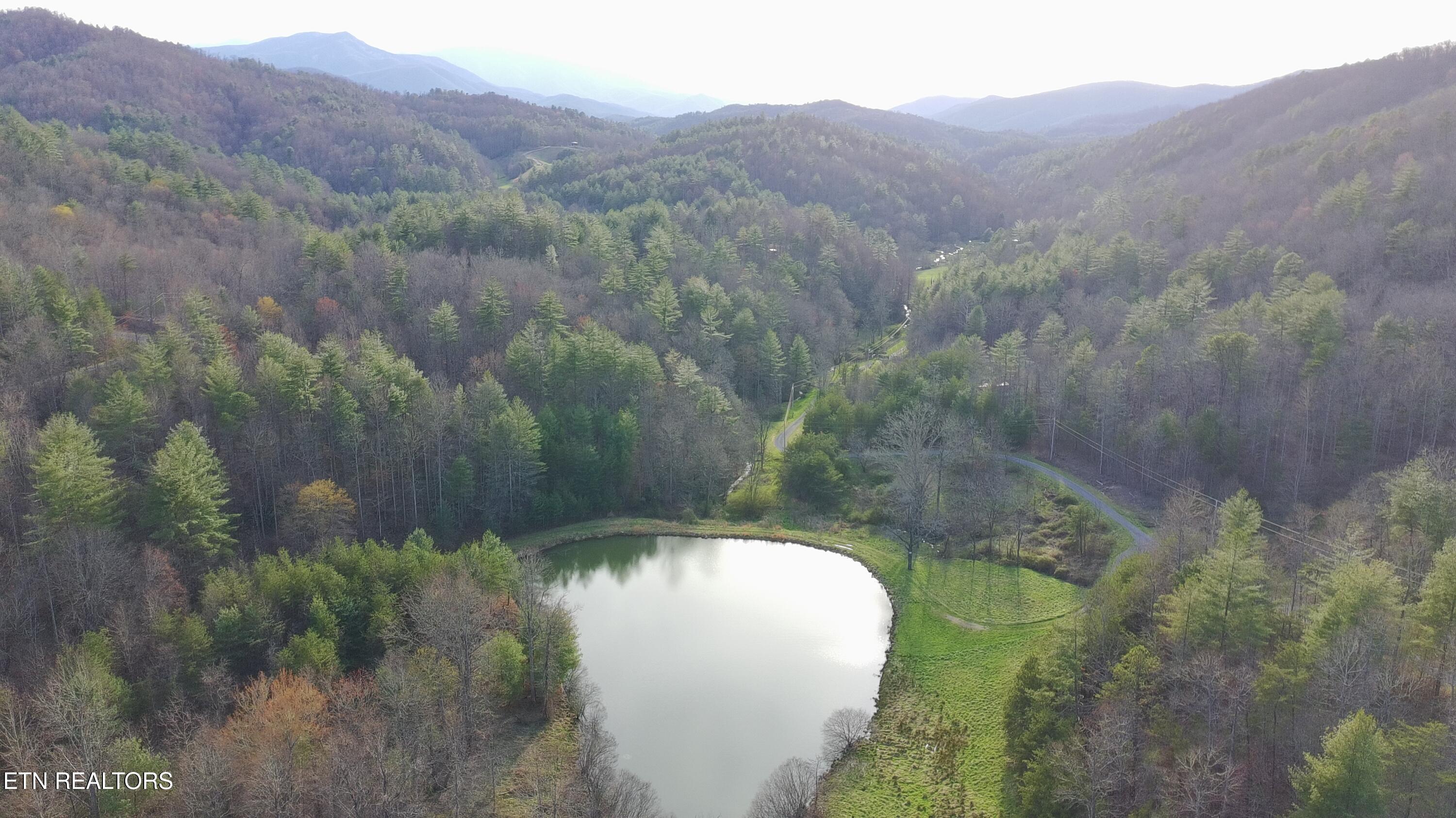 Lot 41 Black Maple Way Del Rio TN 37727