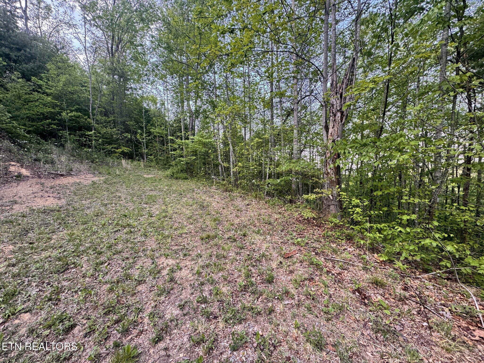 Lot 41 Black Maple Way Del Rio TN 37727