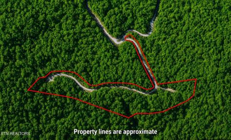 Lot 41 Black Maple Way Del Rio TN 37727