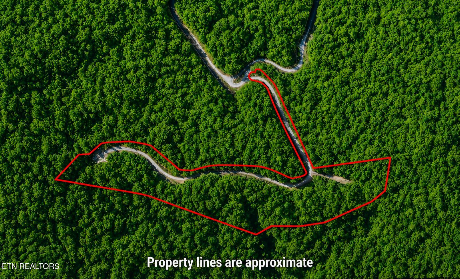 Lot 41 Black Maple Way Del Rio TN 37727