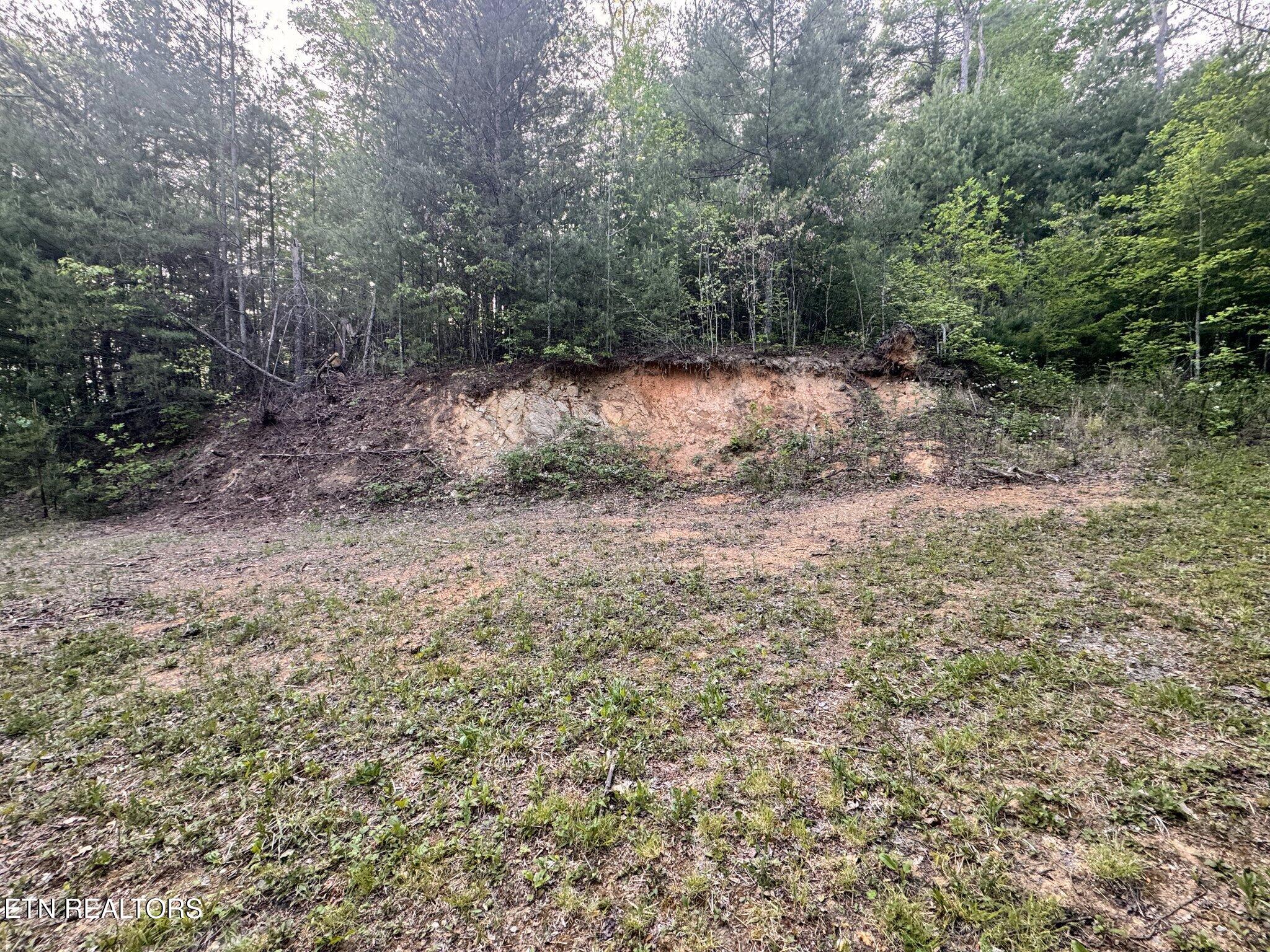 Lot 41 Black Maple Way Del Rio TN 37727