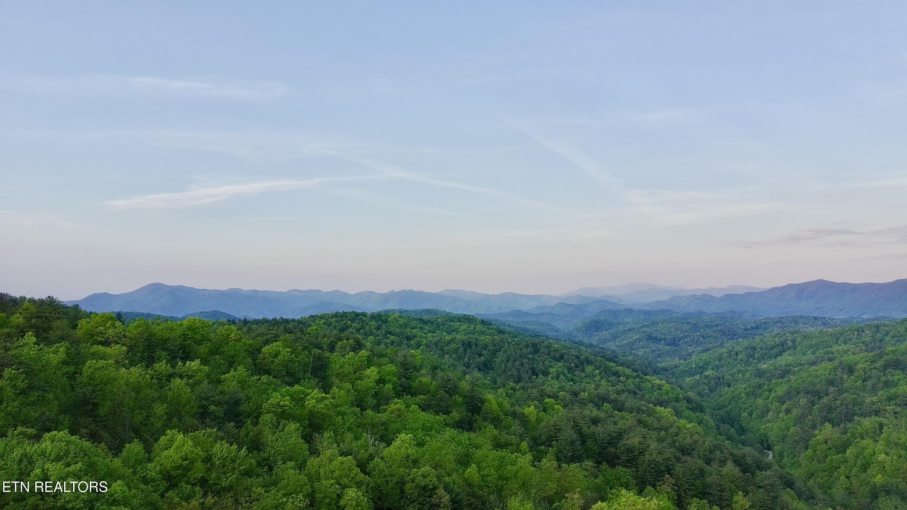 Lot 41 Black Maple Way Del Rio TN 37727