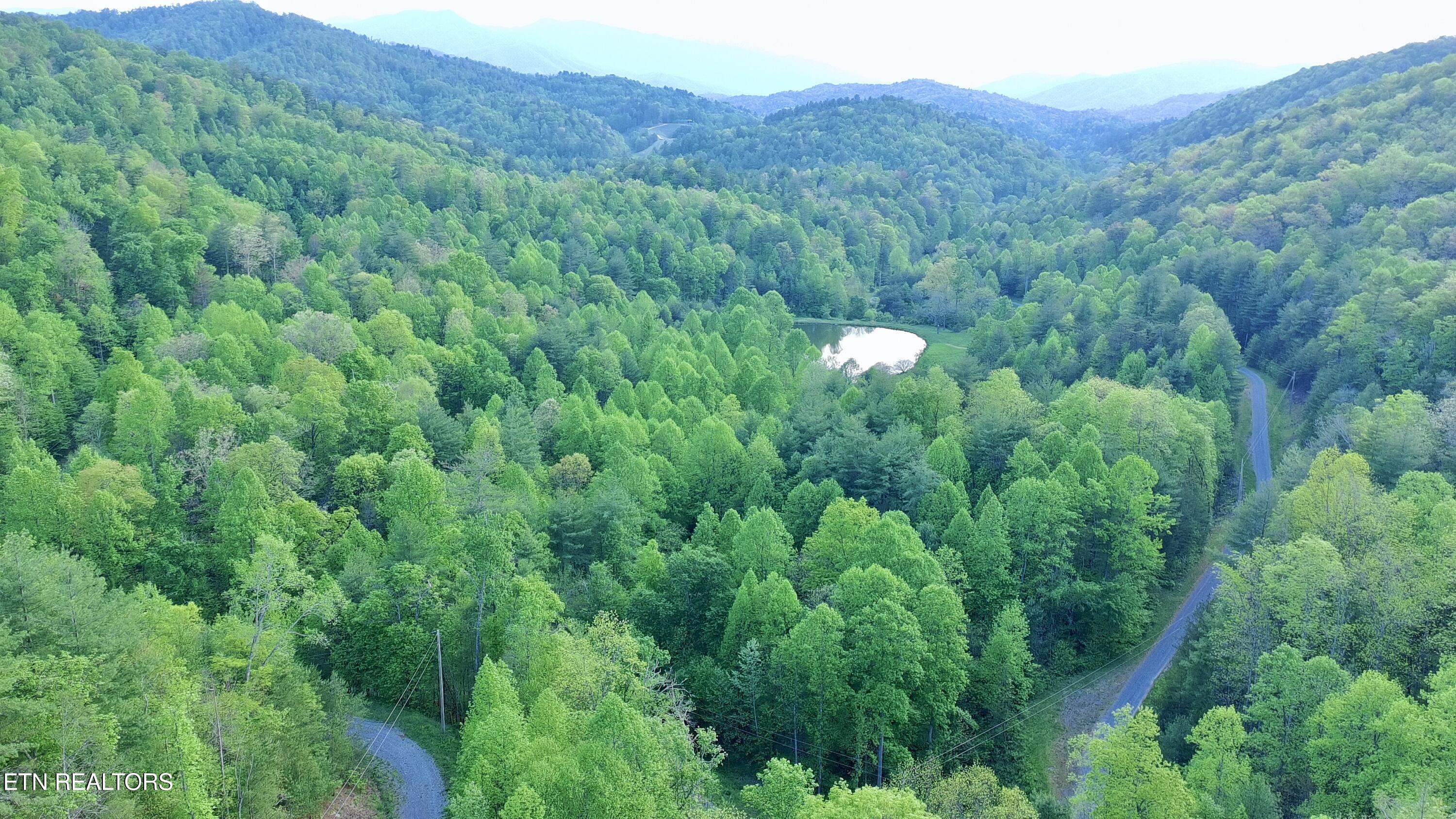 Lot 41 Black Maple Way Del Rio TN 37727