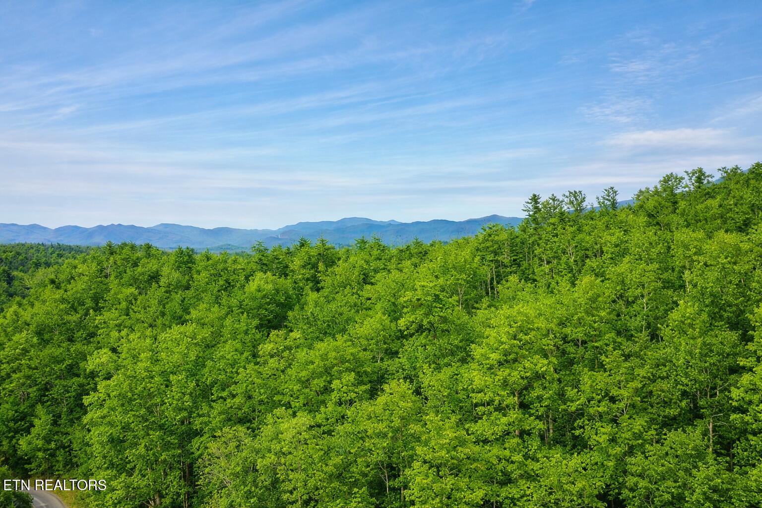 Lot 41 Black Maple Way Del Rio TN 37727