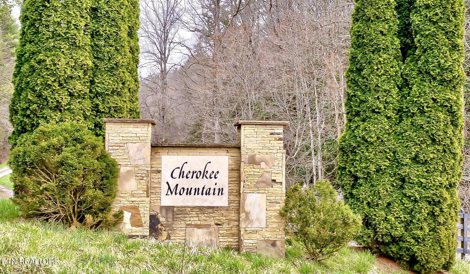 Lot 41 Black Maple Way Del Rio TN 37727