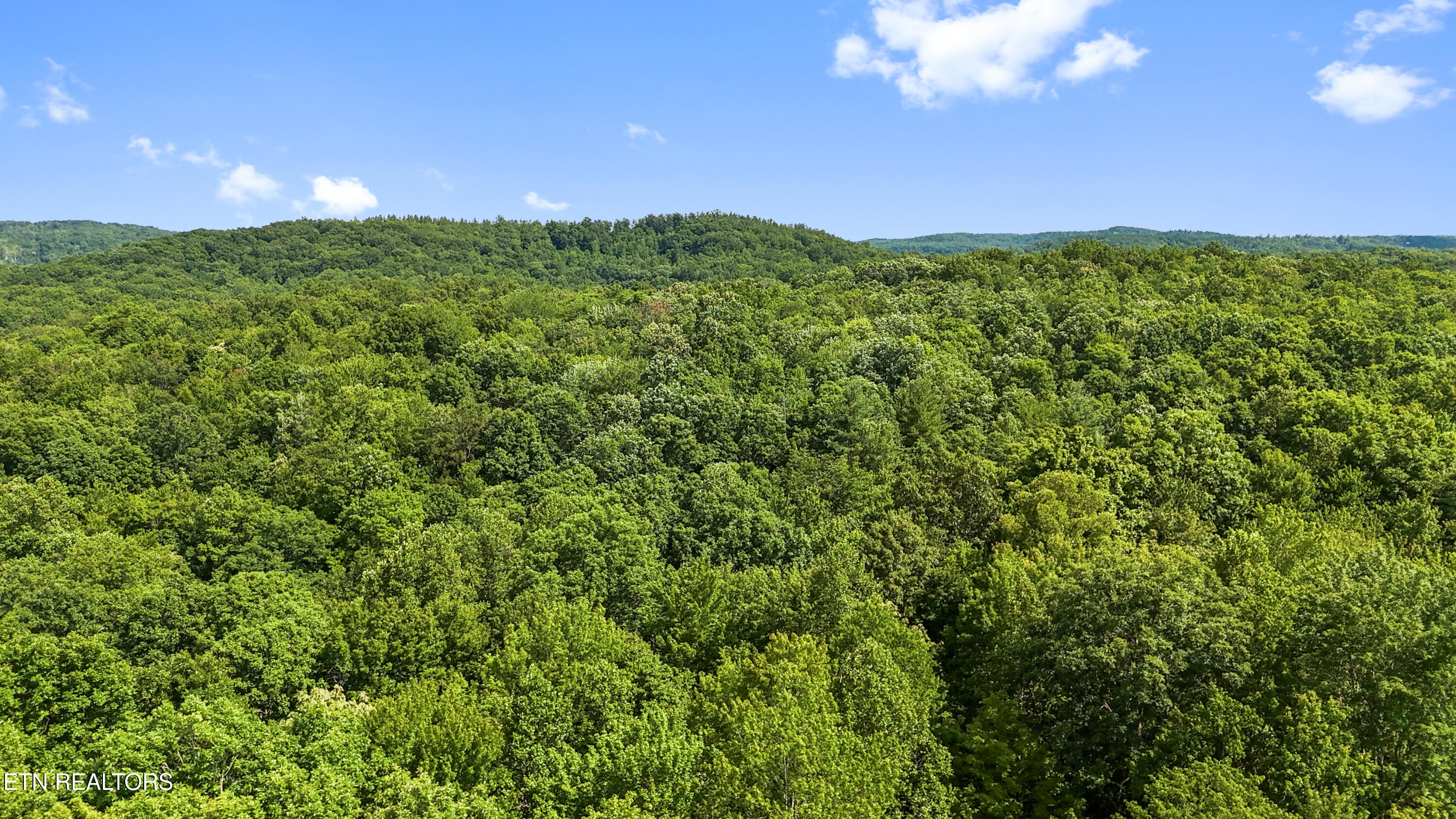 Willie Boyatt Road Oneida TN 37841