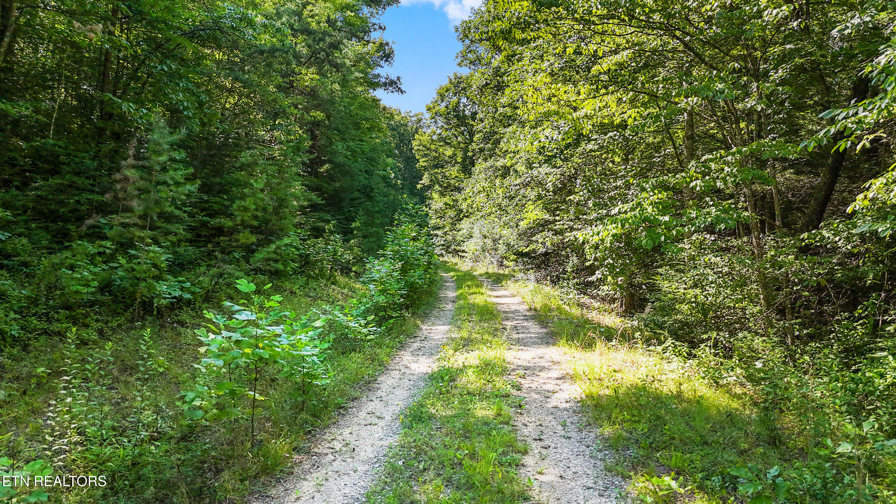 Willie Boyatt Road Oneida TN 37841