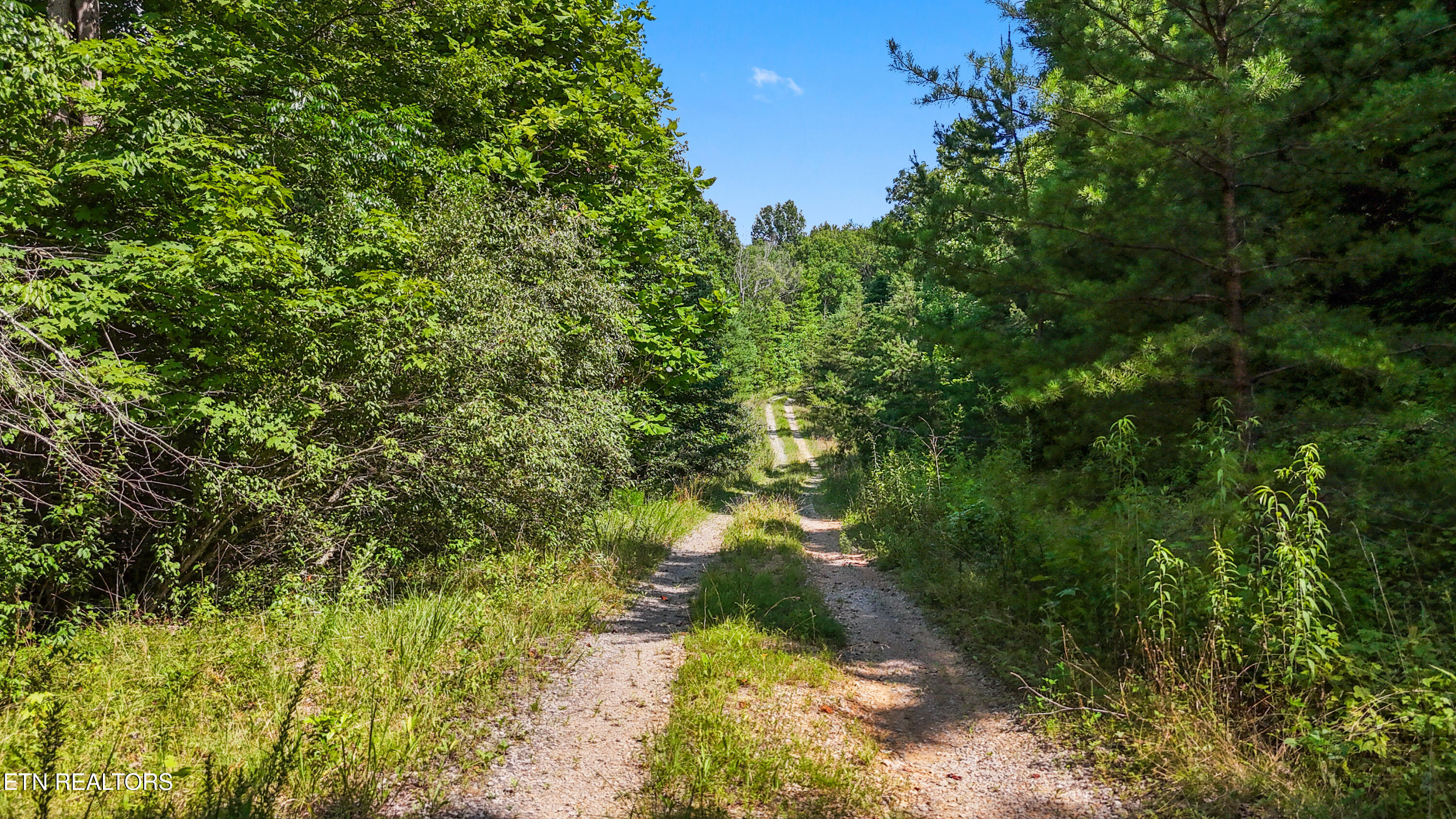 Willie Boyatt Road Oneida TN 37841