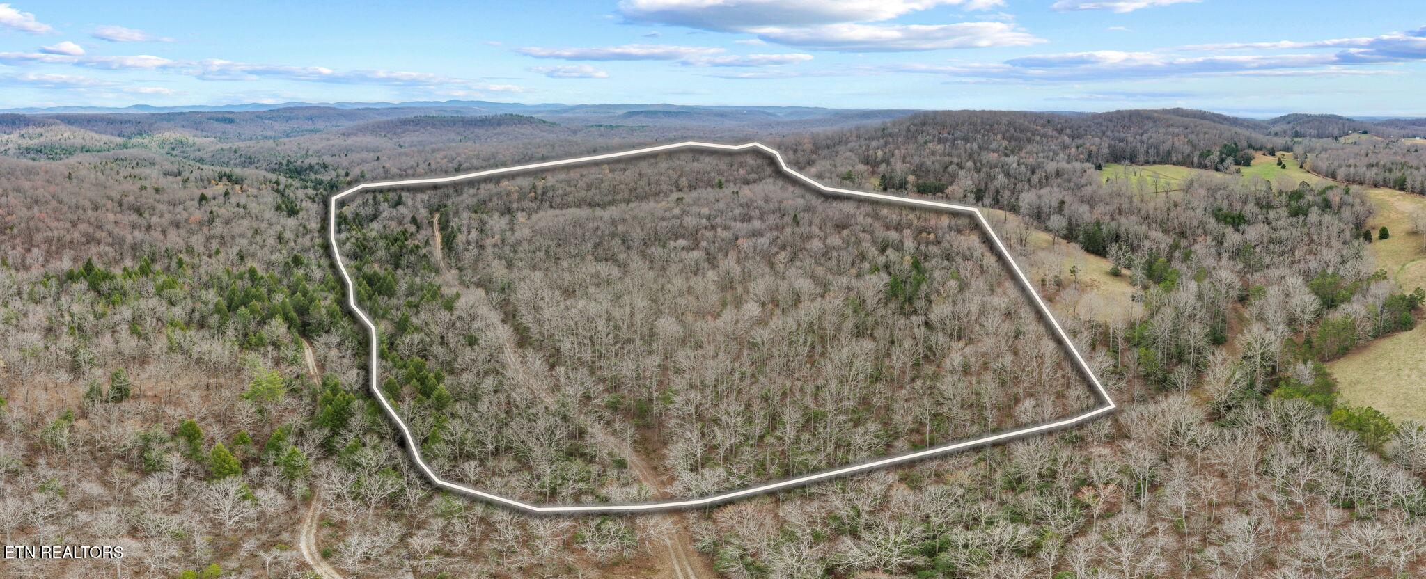 Willie Boyatt Road Oneida TN 37841
