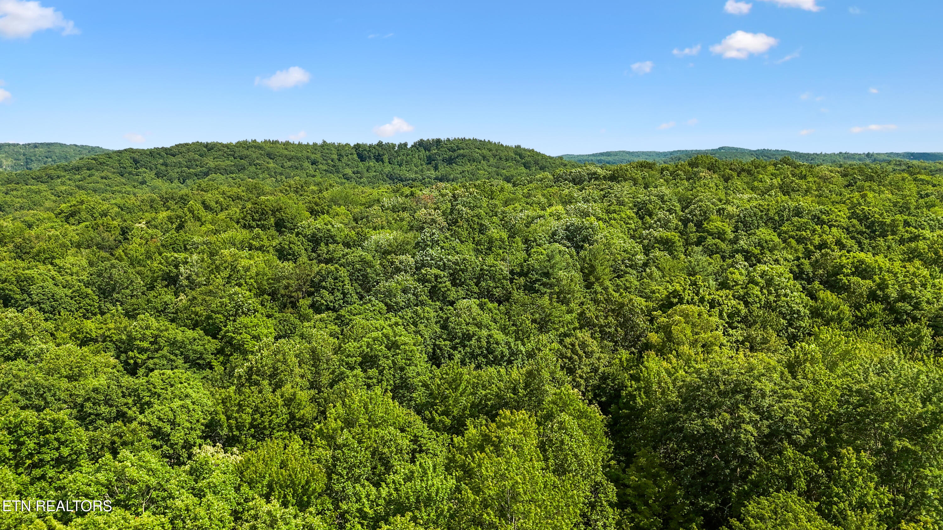Willie Boyatt Road Oneida TN 37841