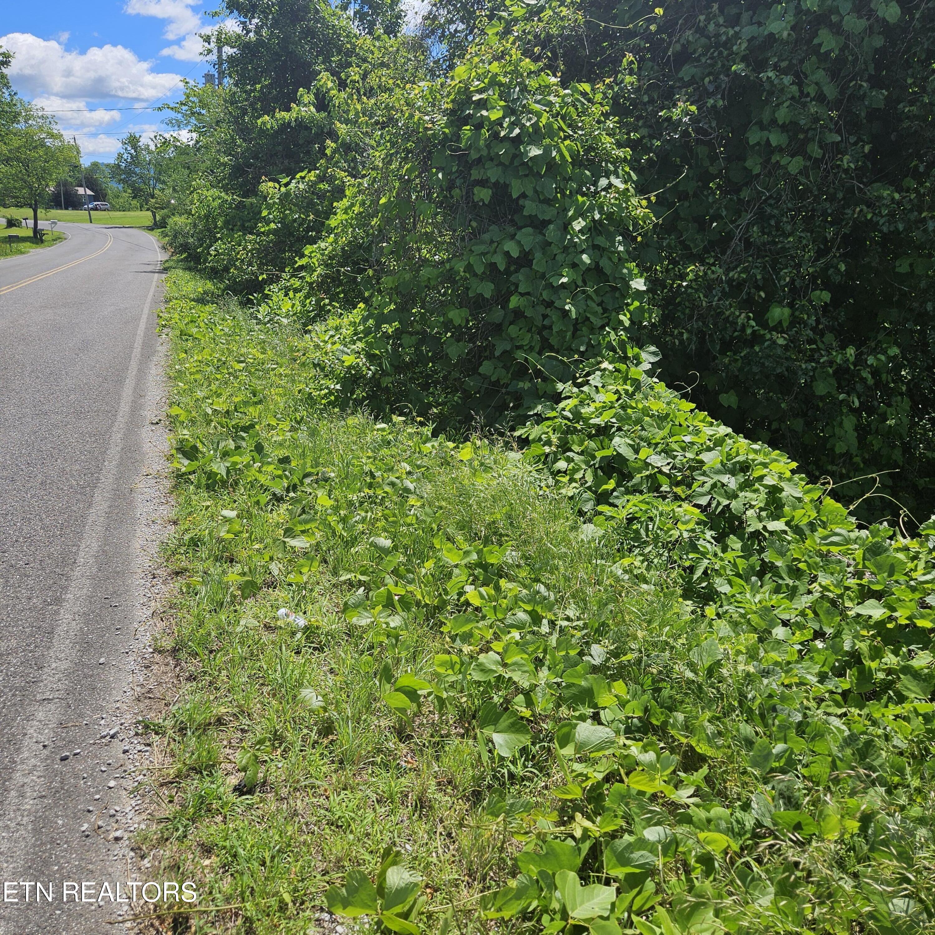 Petit Lane Wartburg TN 37887