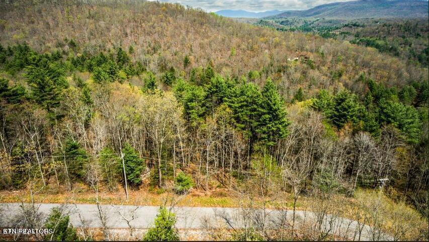 Green Ridge Trails - Lot #37 Harriman TN 37748