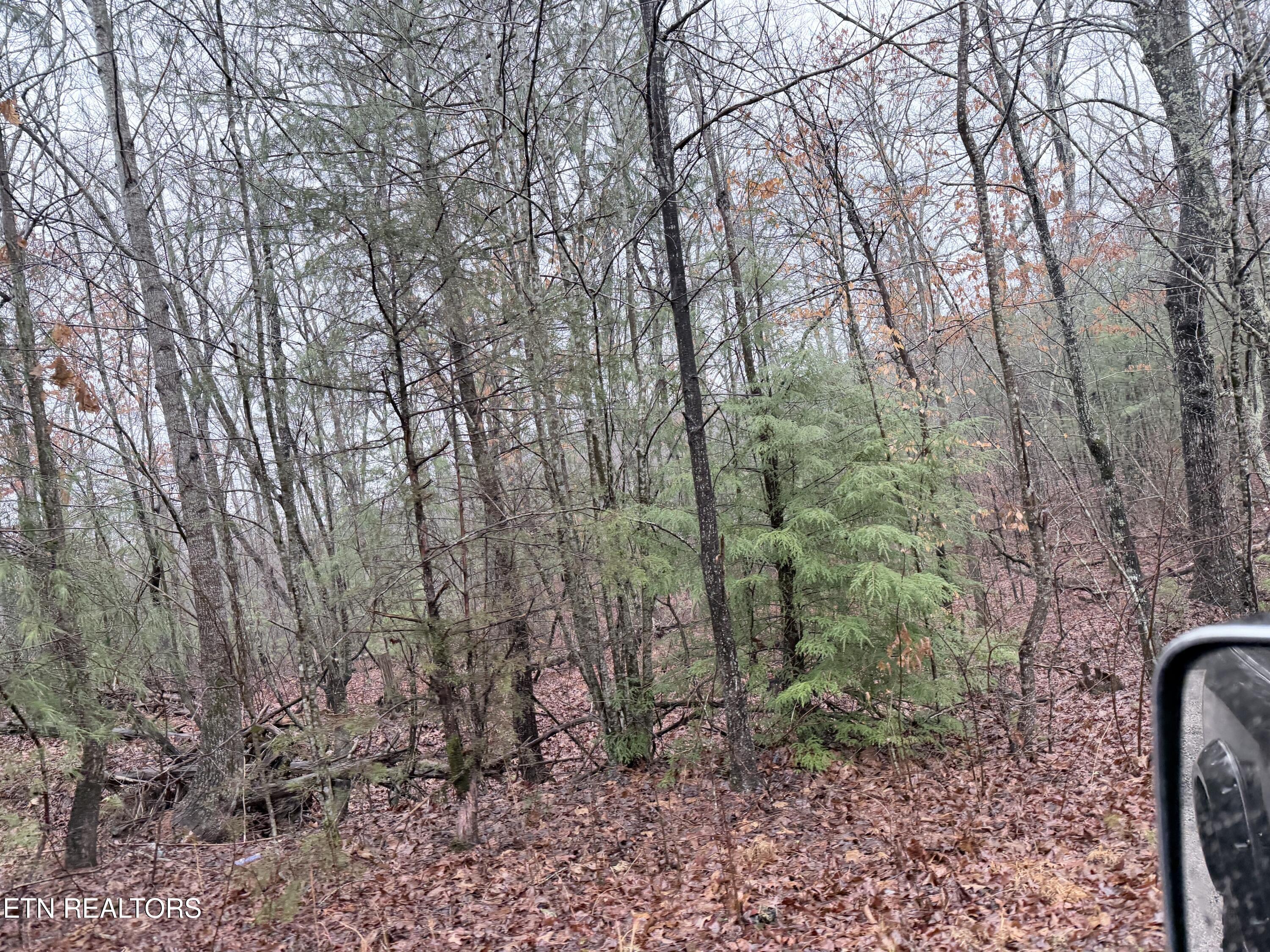 000000 Highway 68 Tellico Plains TN 37385