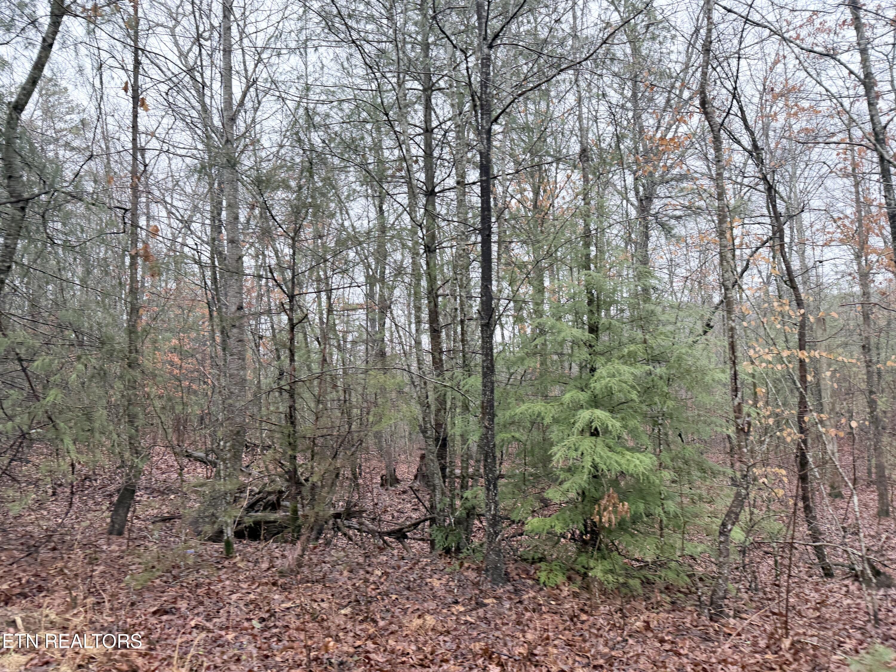 000000 Highway 68 Tellico Plains TN 37385