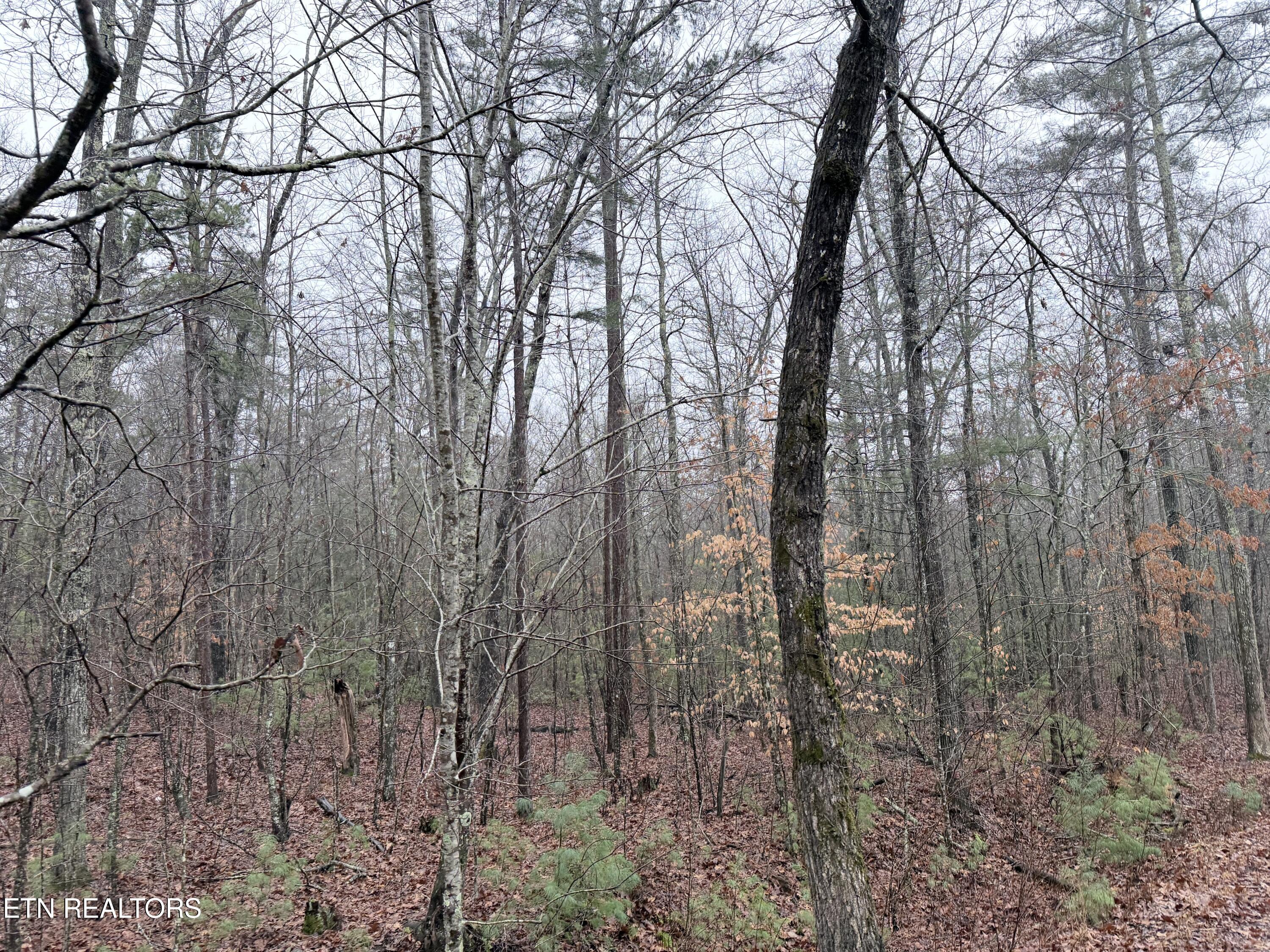 000000 Highway 68 Tellico Plains TN 37385
