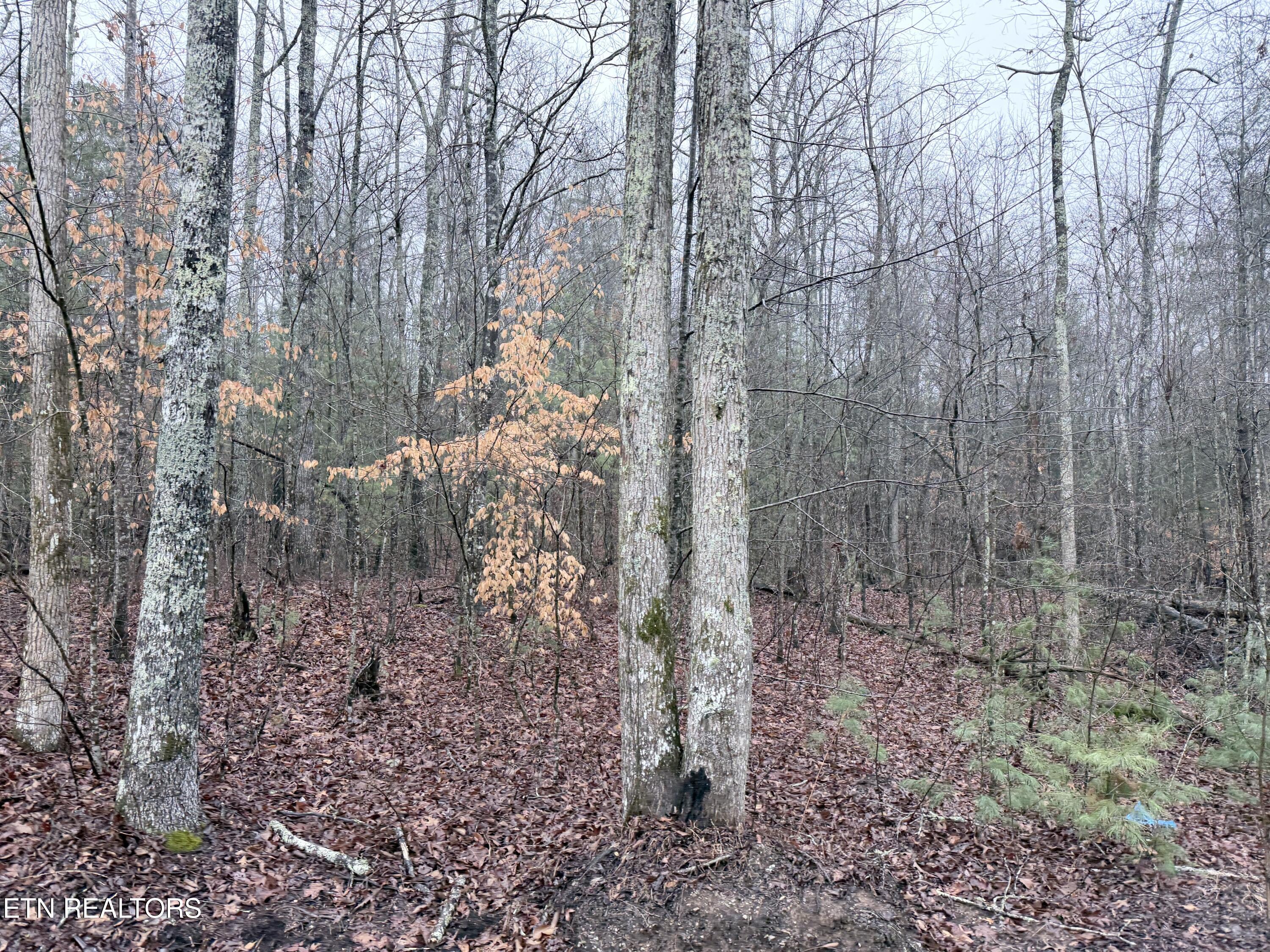 000000 Highway 68 Tellico Plains TN 37385