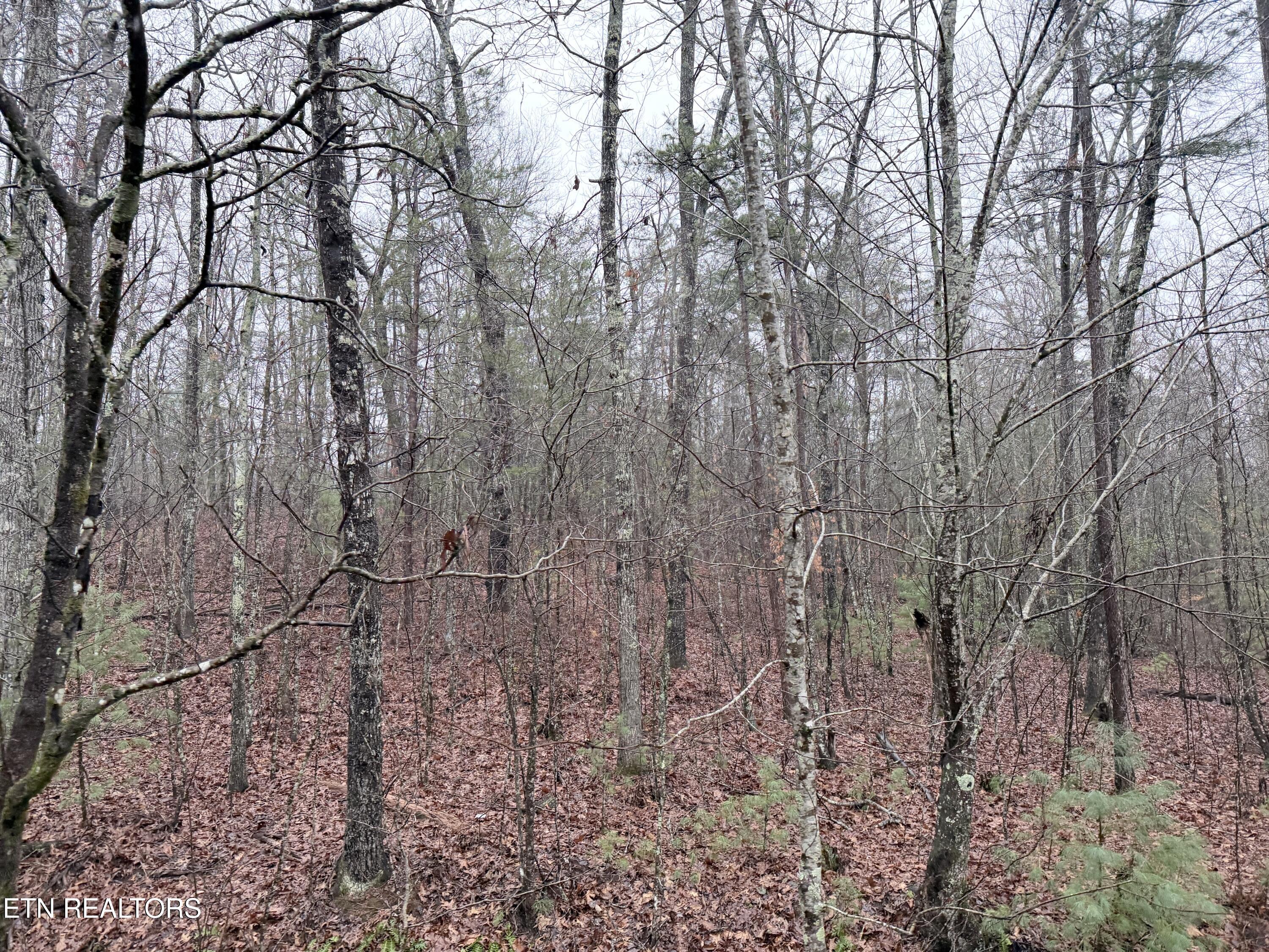000000 Highway 68 Tellico Plains TN 37385