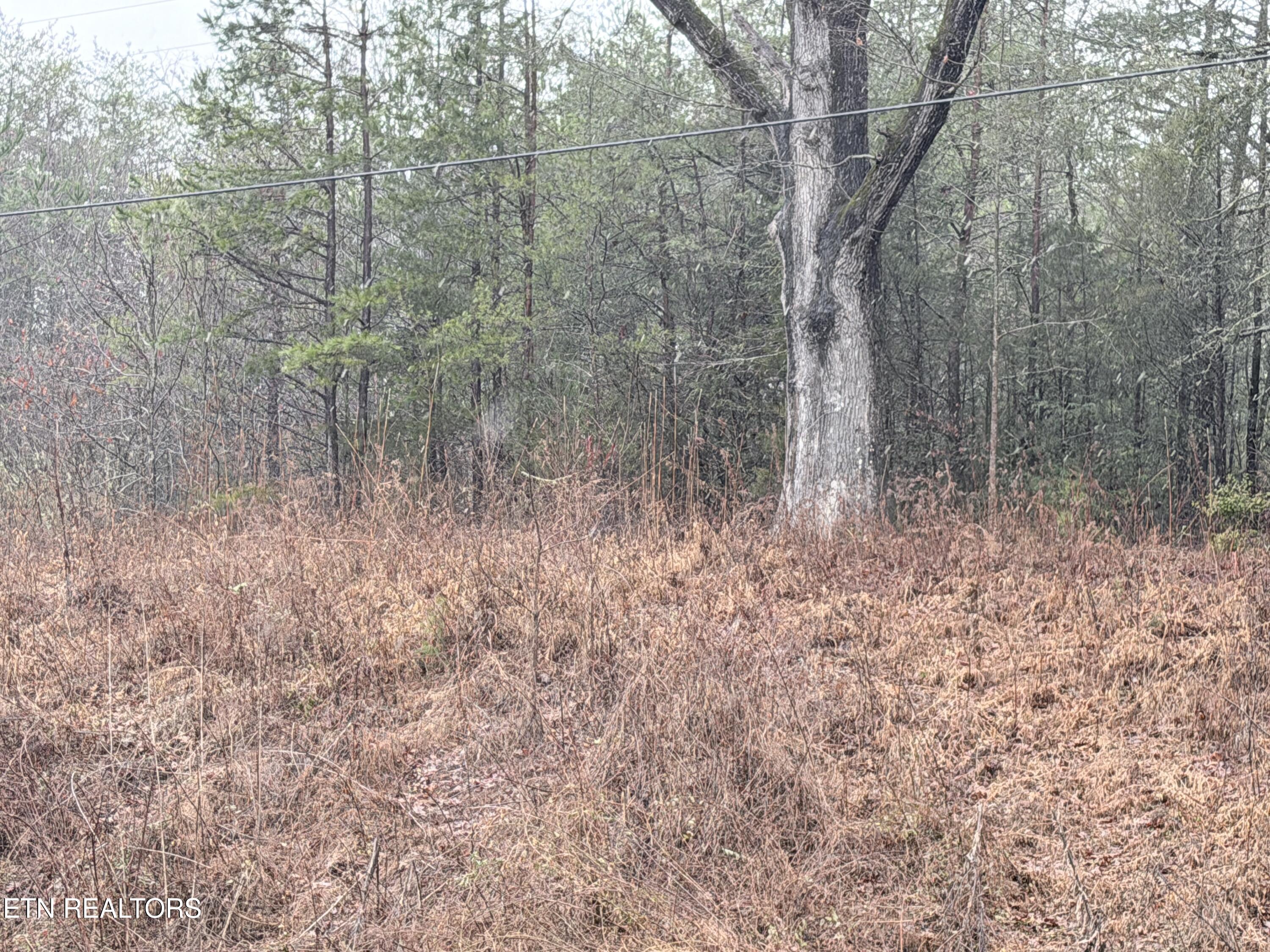 000000 Highway 68 Tellico Plains TN 37385