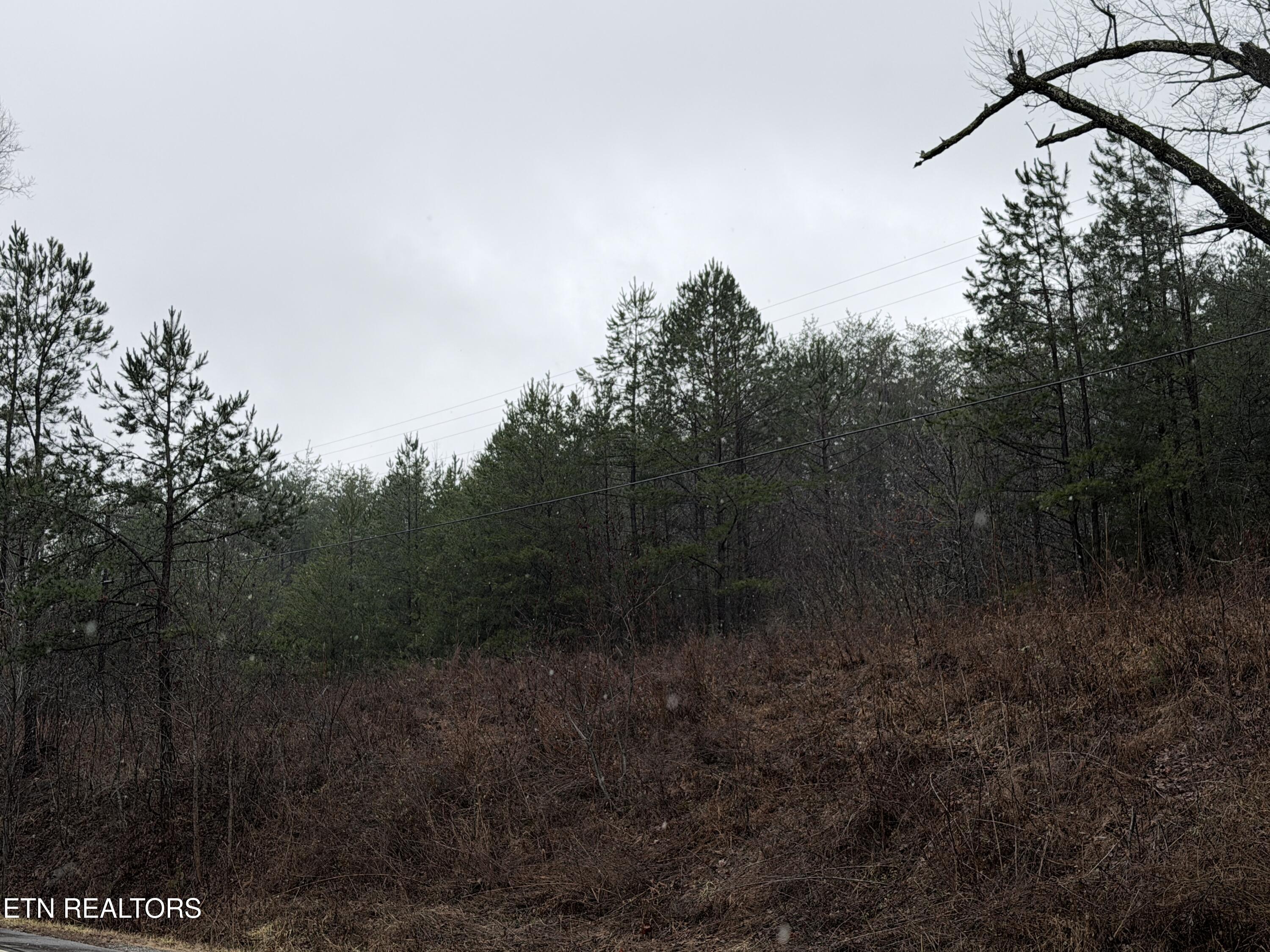 000000 Highway 68 Tellico Plains TN 37385