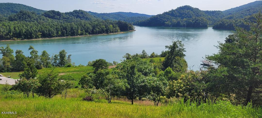 Longshore Drive Tazewell TN 37879