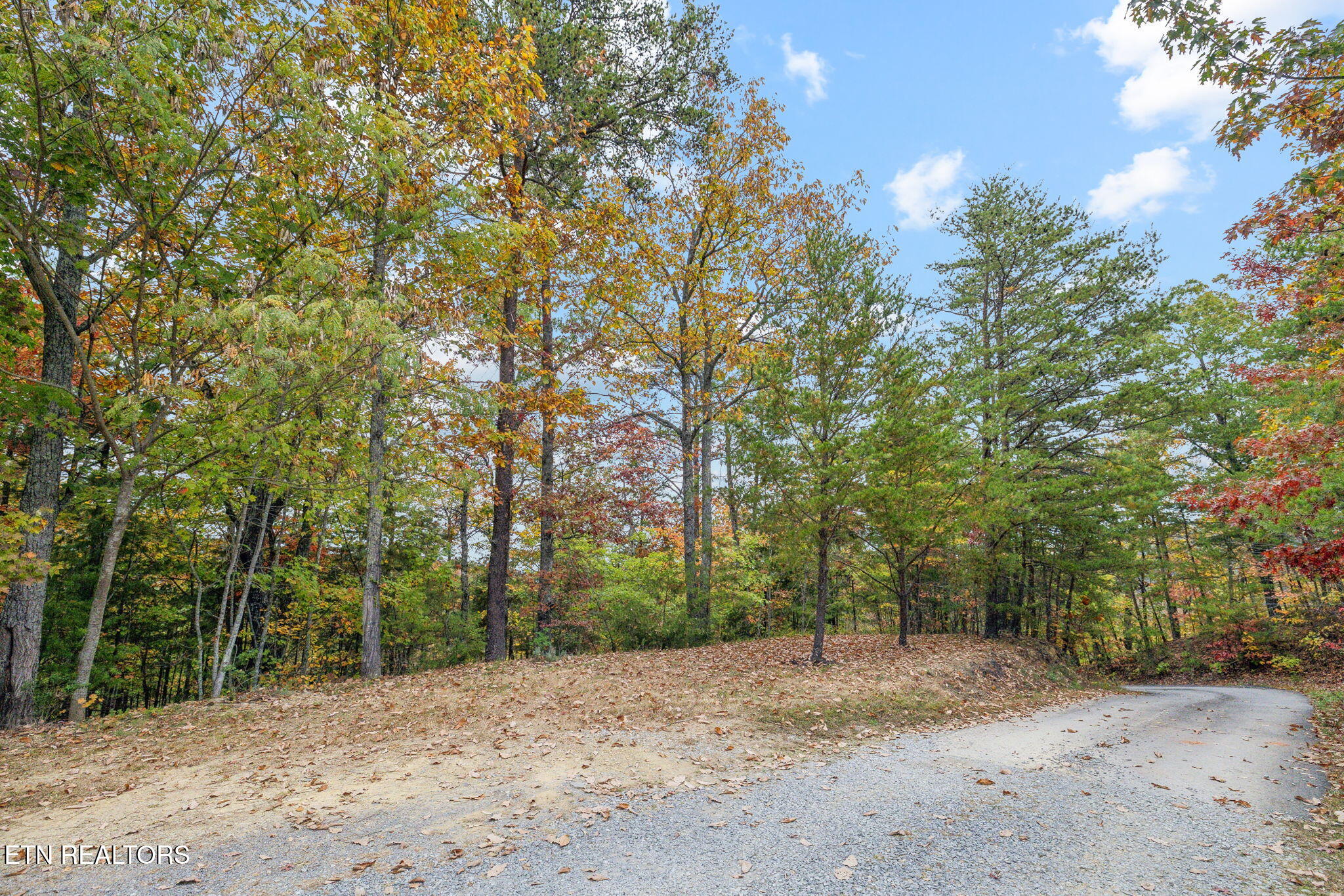Cove Creek Way Sevierville TN 37862