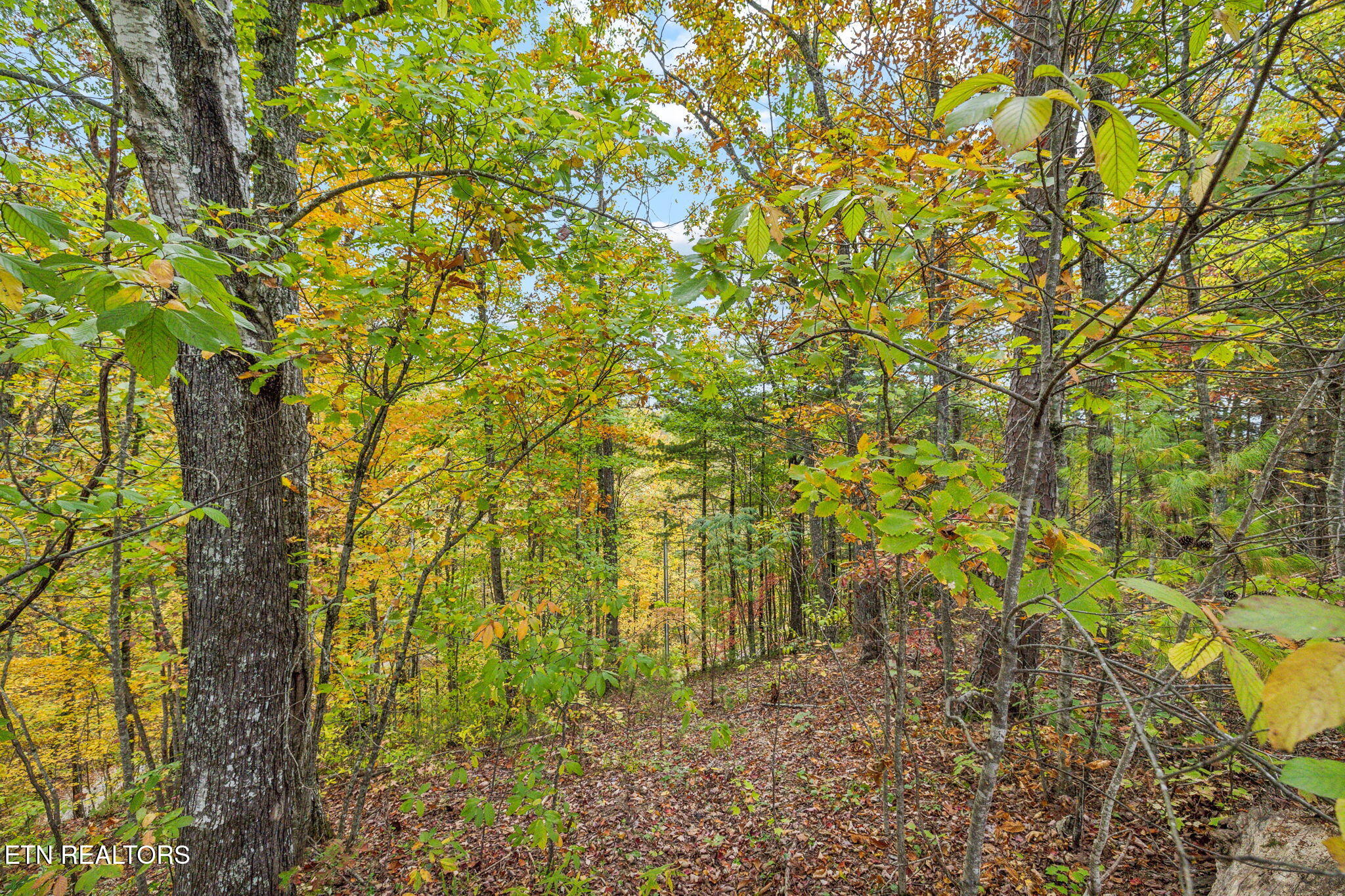 Cove Creek Way Sevierville TN 37862