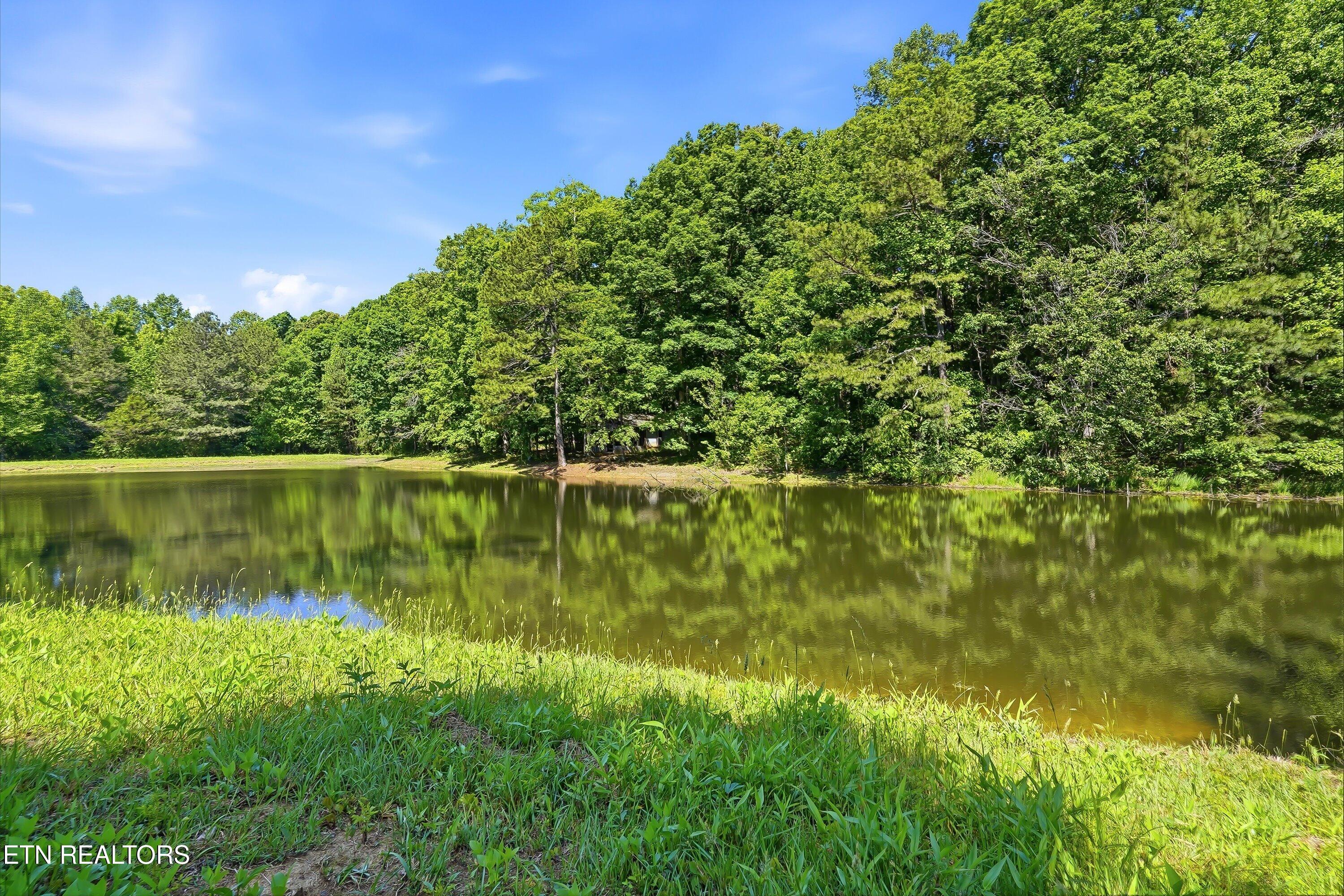 Highway 163 Riceville TN 37370