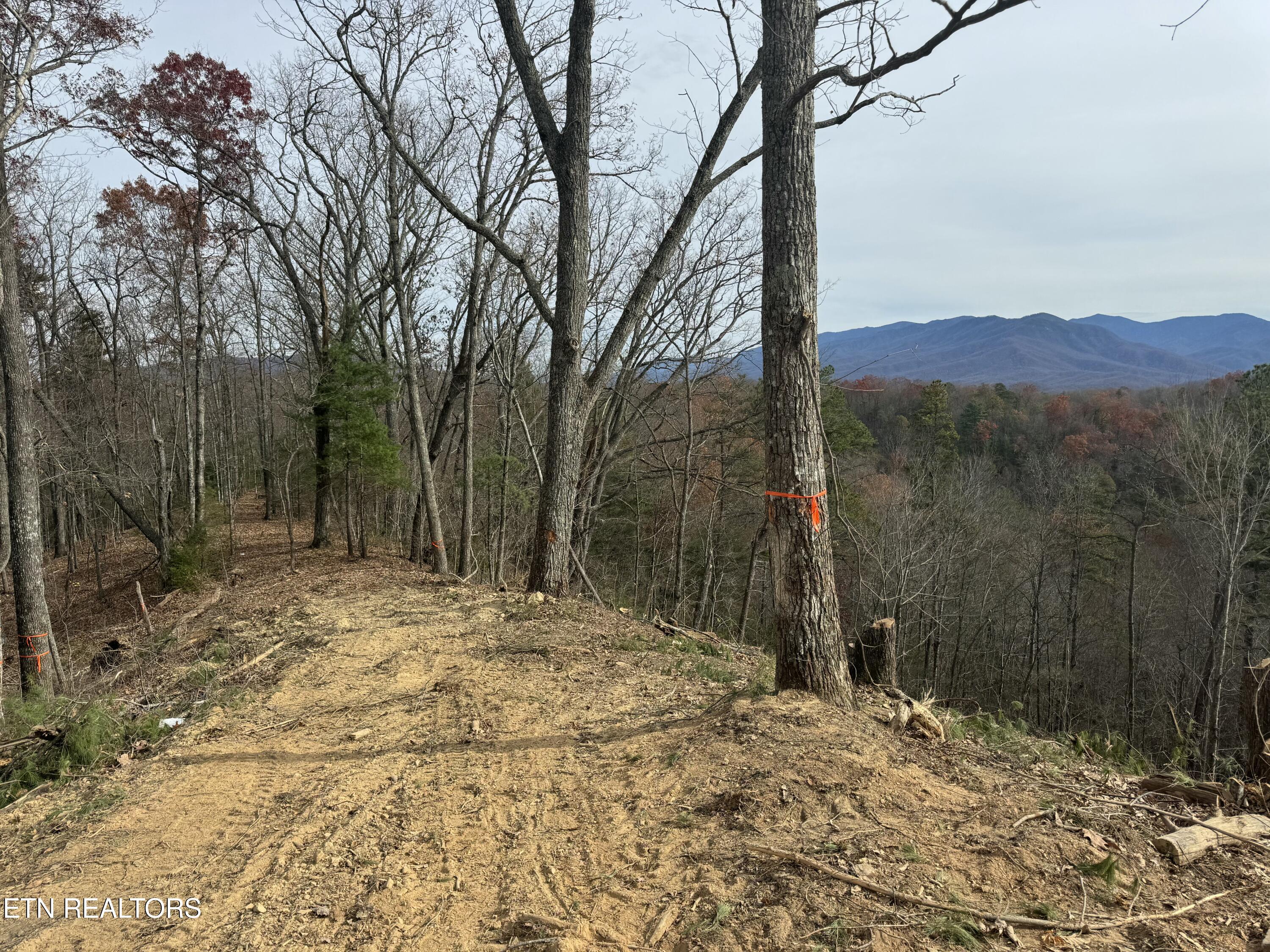Lot 4 Powdermill Road Gatlinburg TN 37738