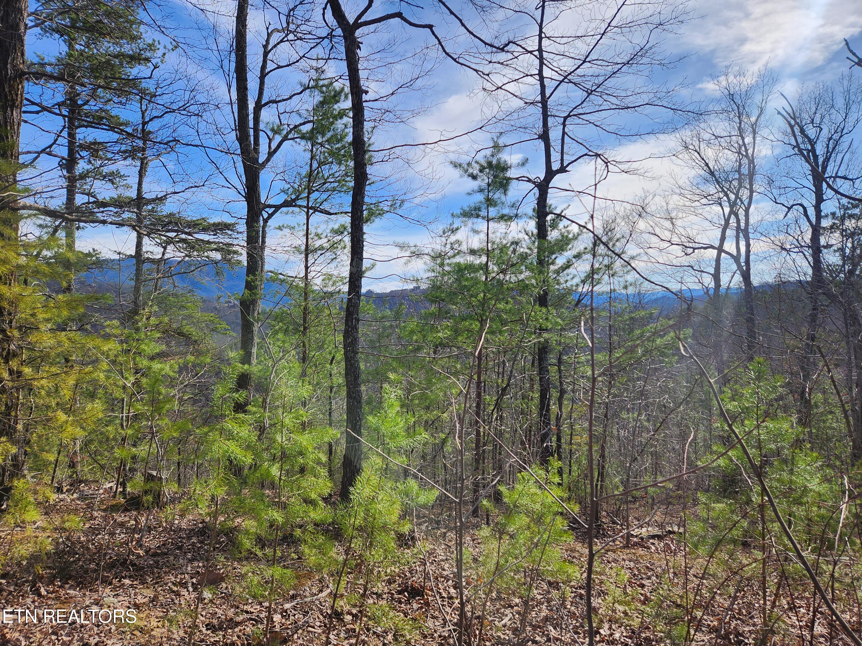 Lot 46 Feld Wynde Close Way Sevierville TN 37862