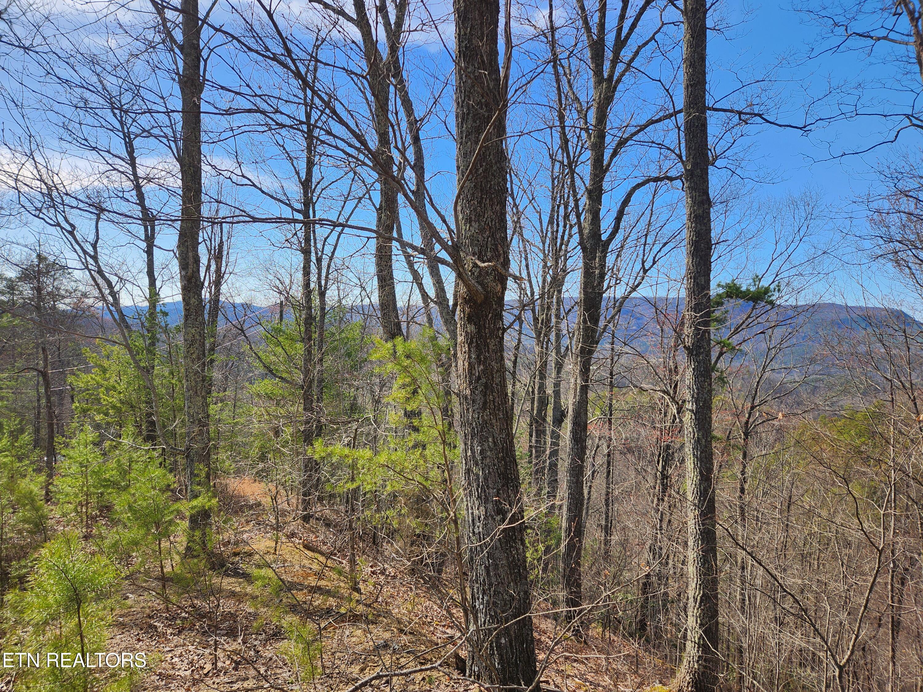 Lot 46 Feld Wynde Close Way Sevierville TN 37862