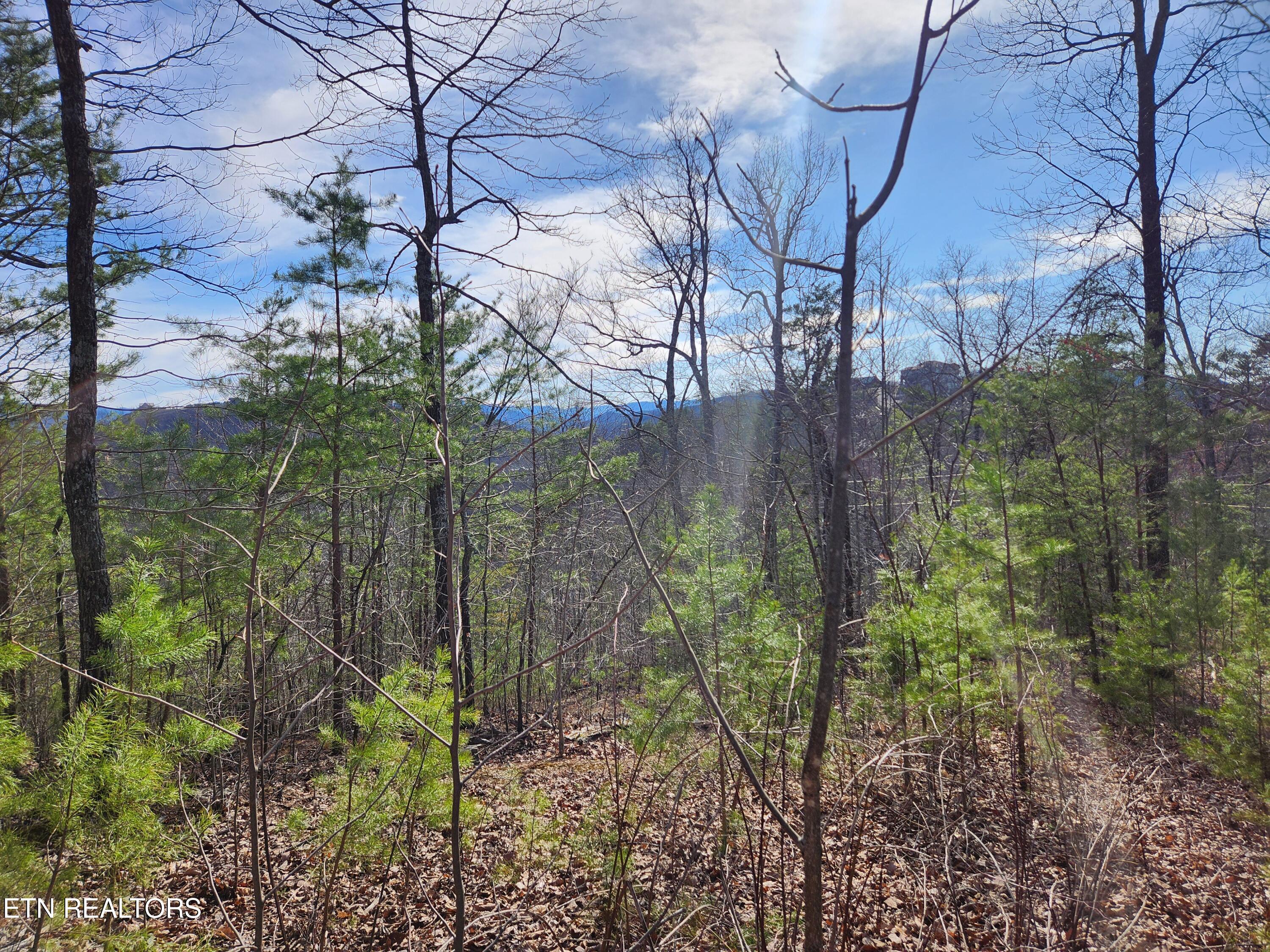 Lot 46 Feld Wynde Close Way Sevierville TN 37862
