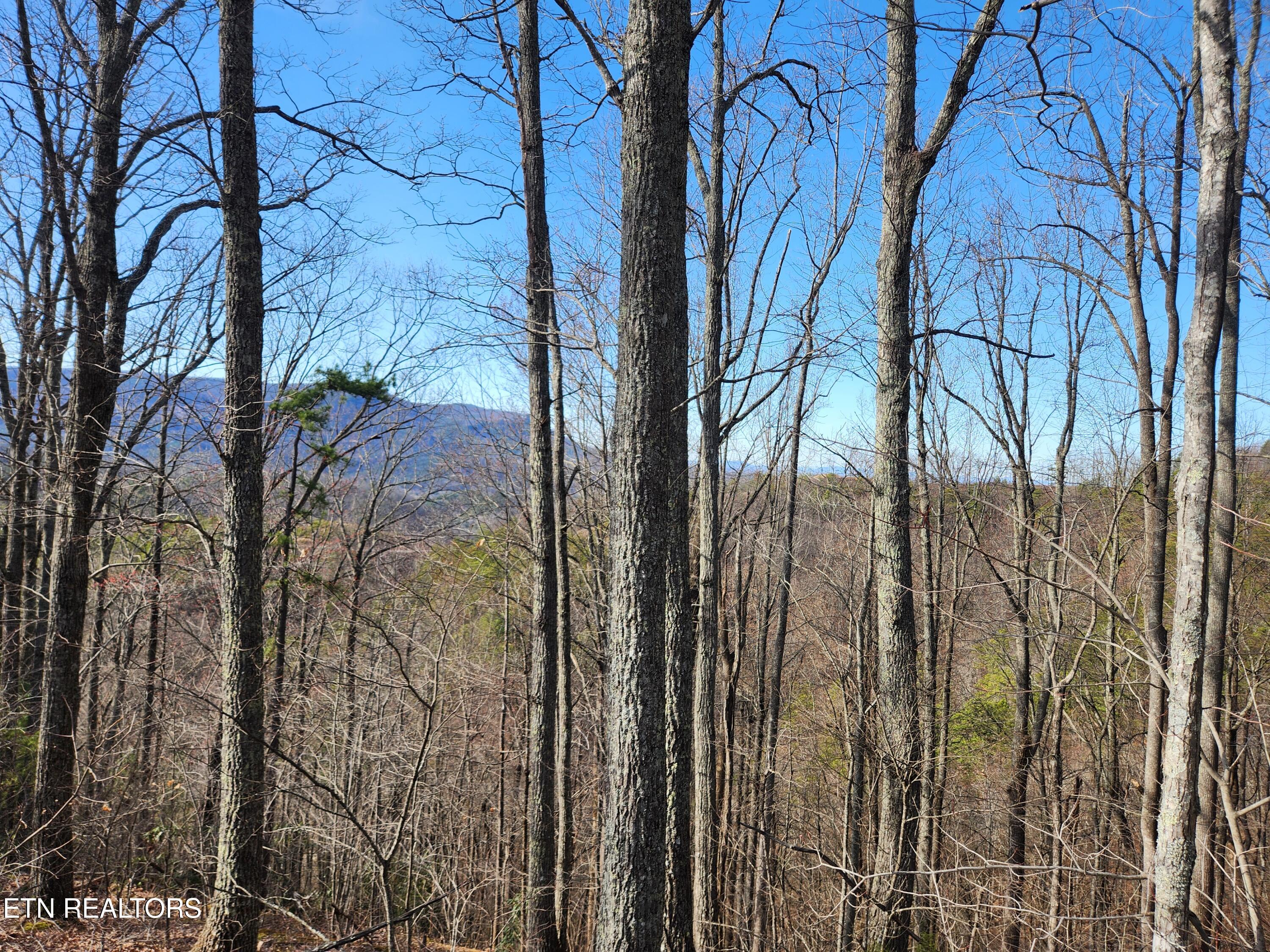 Lot 46 Feld Wynde Close Way Sevierville TN 37862