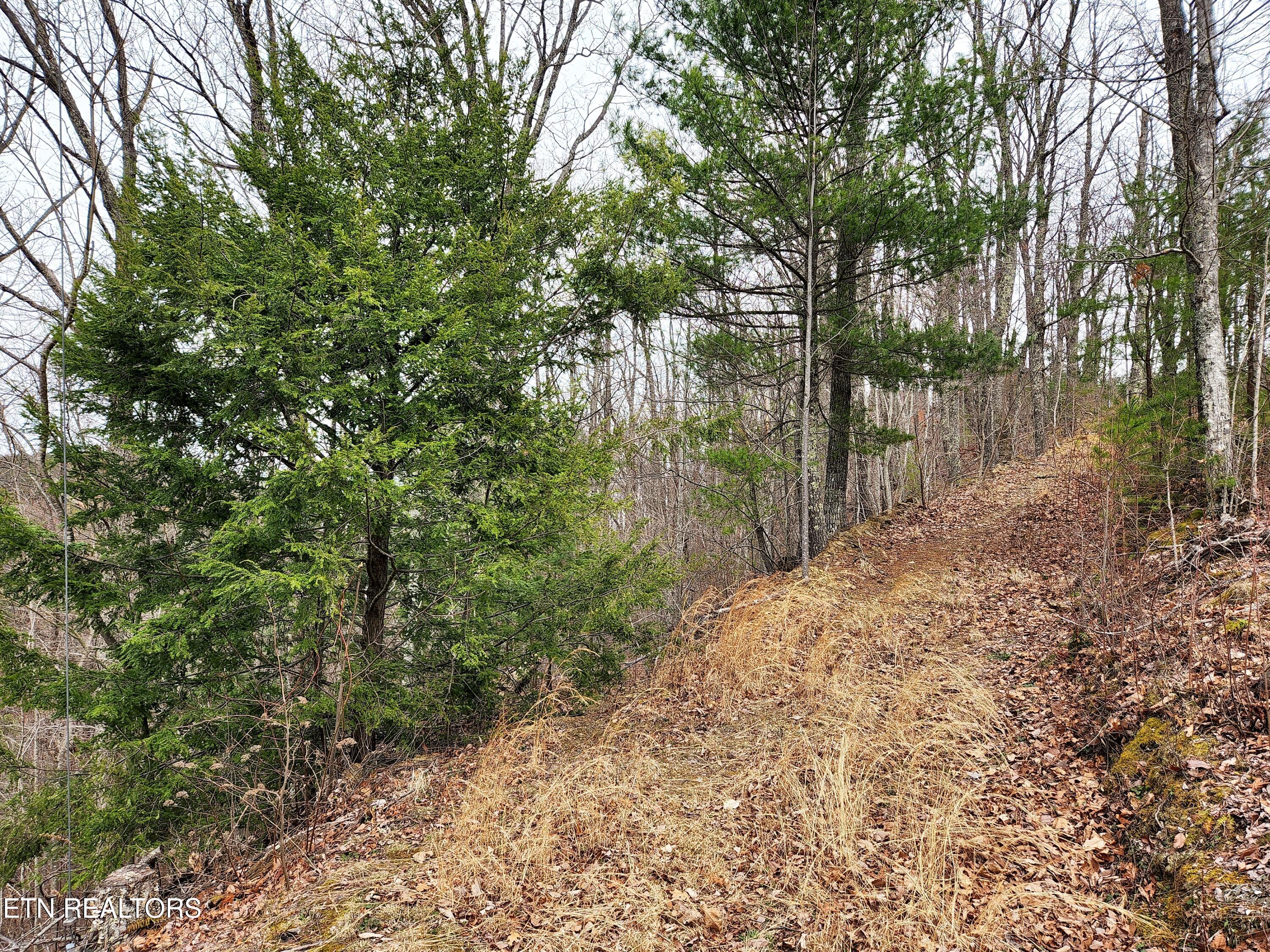 Lot 46 Feld Wynde Close Way Sevierville TN 37862