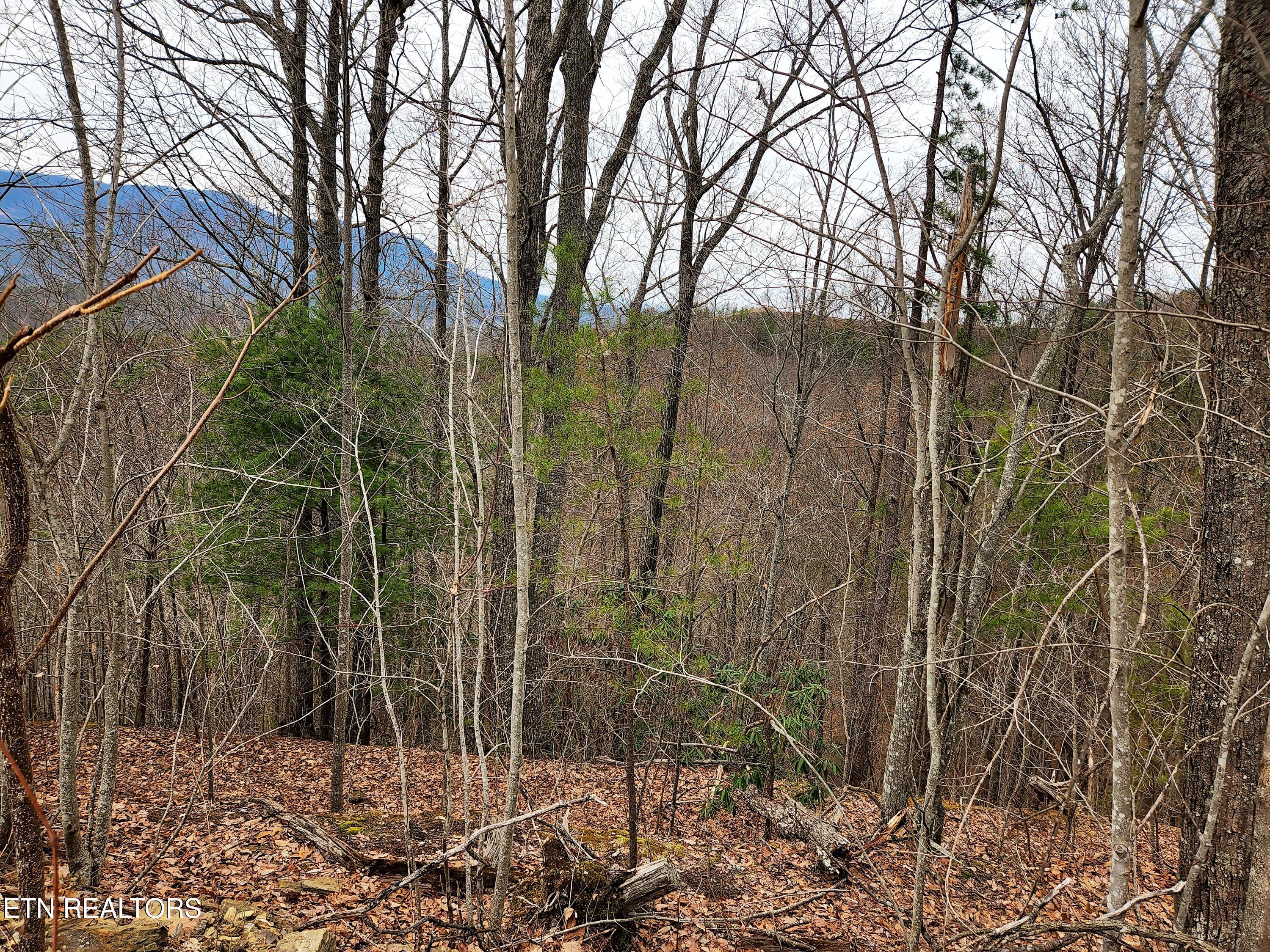 Lot 46 Feld Wynde Close Way Sevierville TN 37862