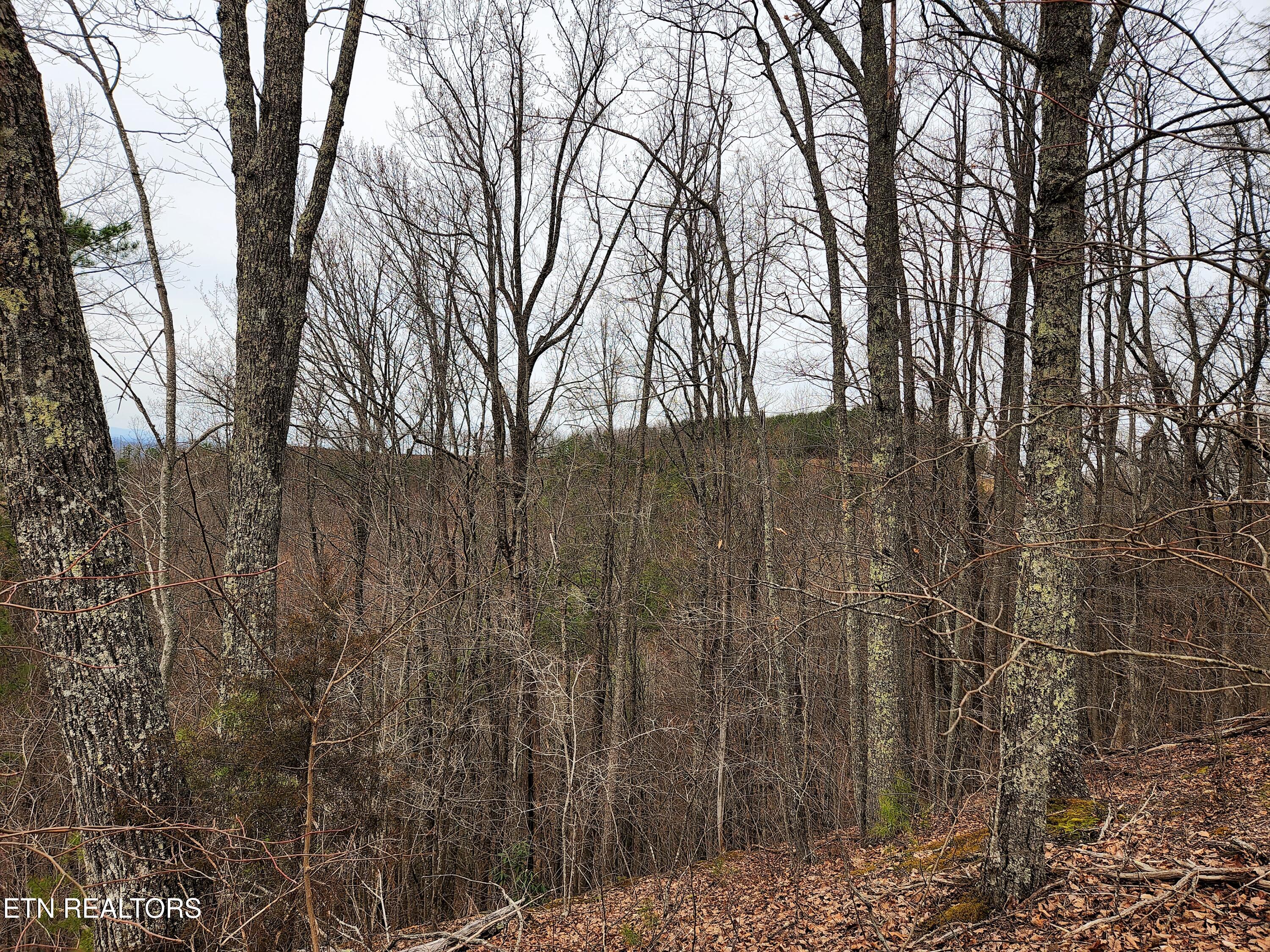 Lot 46 Feld Wynde Close Way Sevierville TN 37862