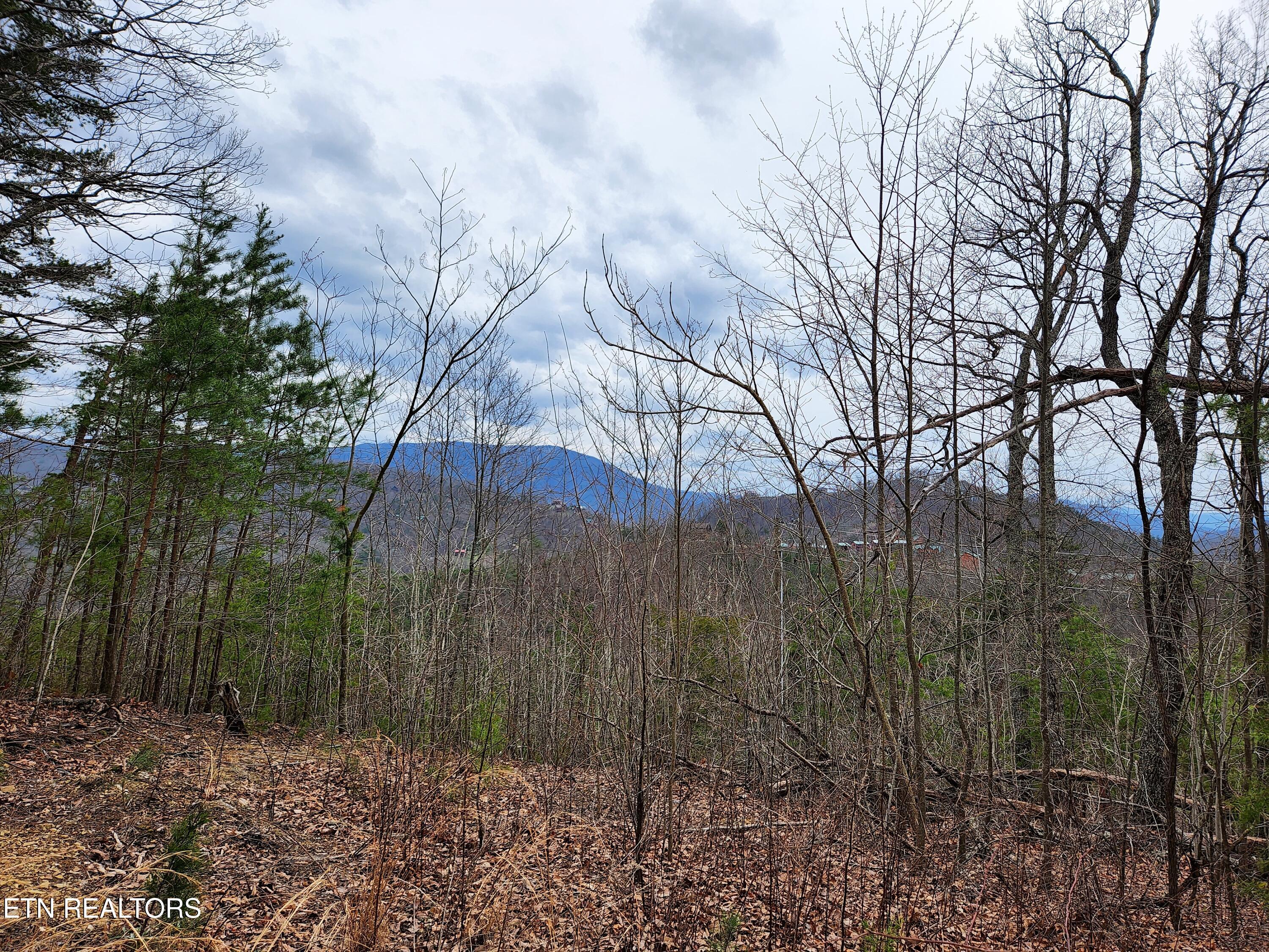 Lot 46 Feld Wynde Close Way Sevierville TN 37862