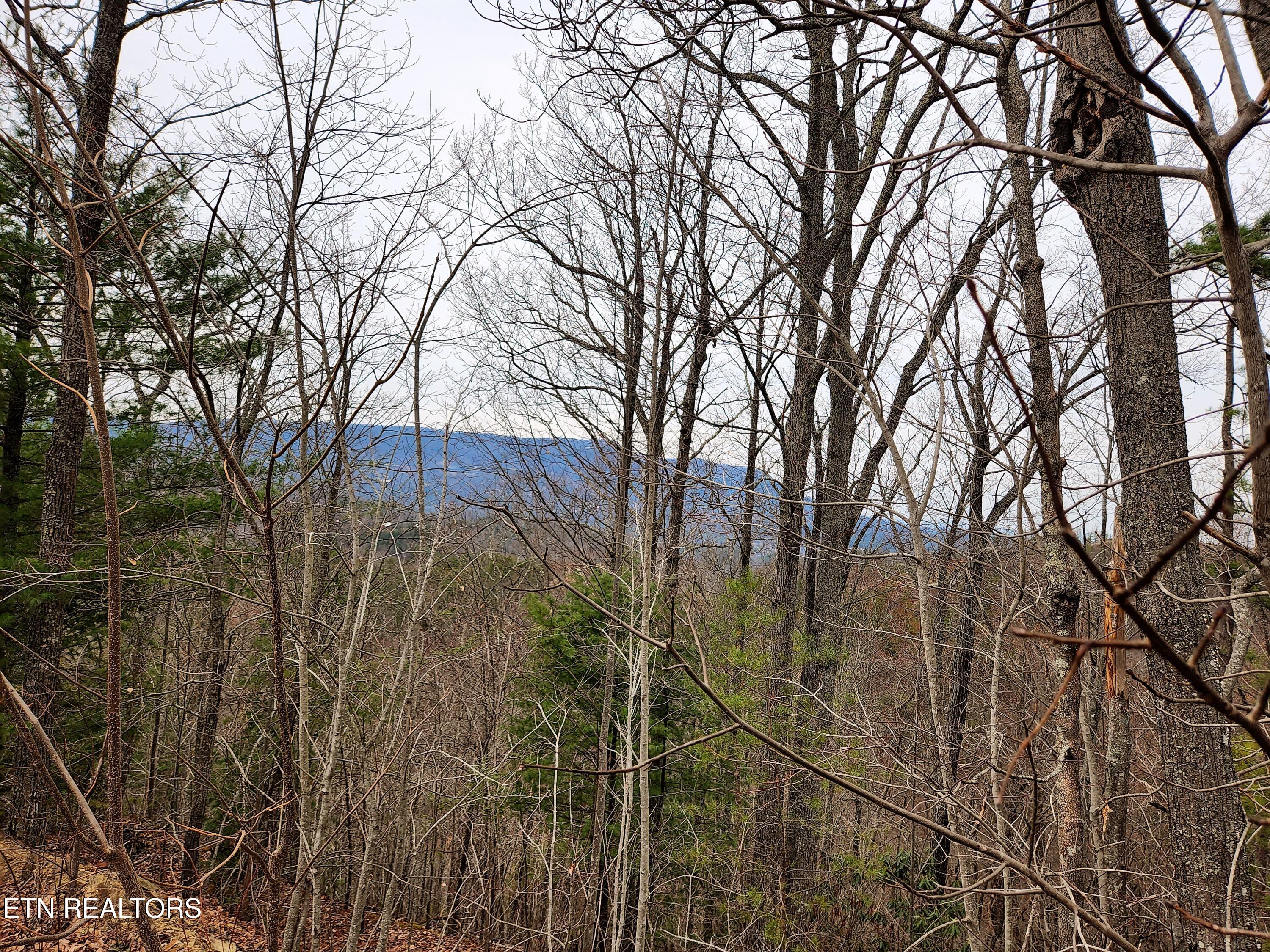 Lot 46 Feld Wynde Close Way Sevierville TN 37862