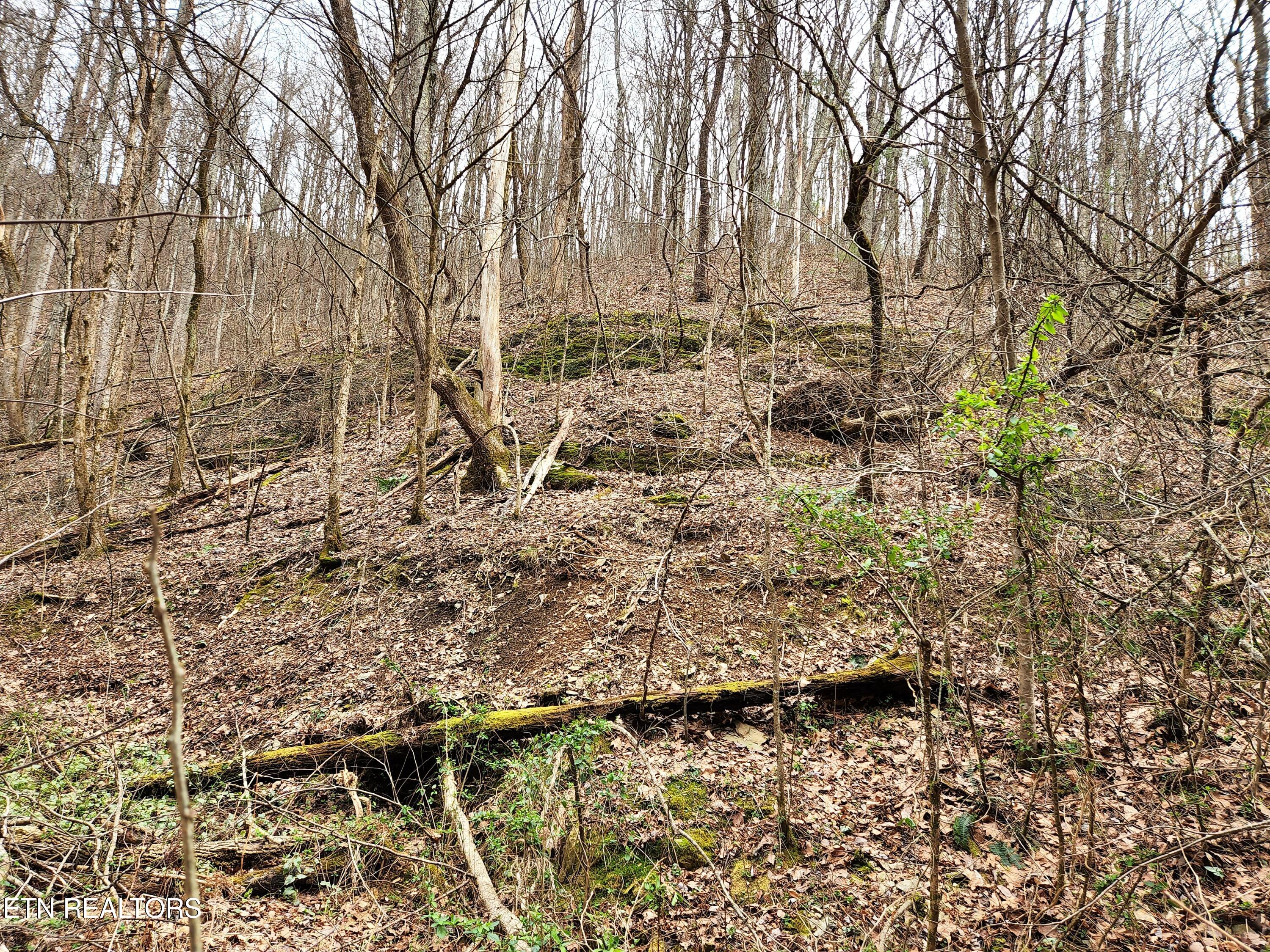 Lot 46 Feld Wynde Close Way Sevierville TN 37862