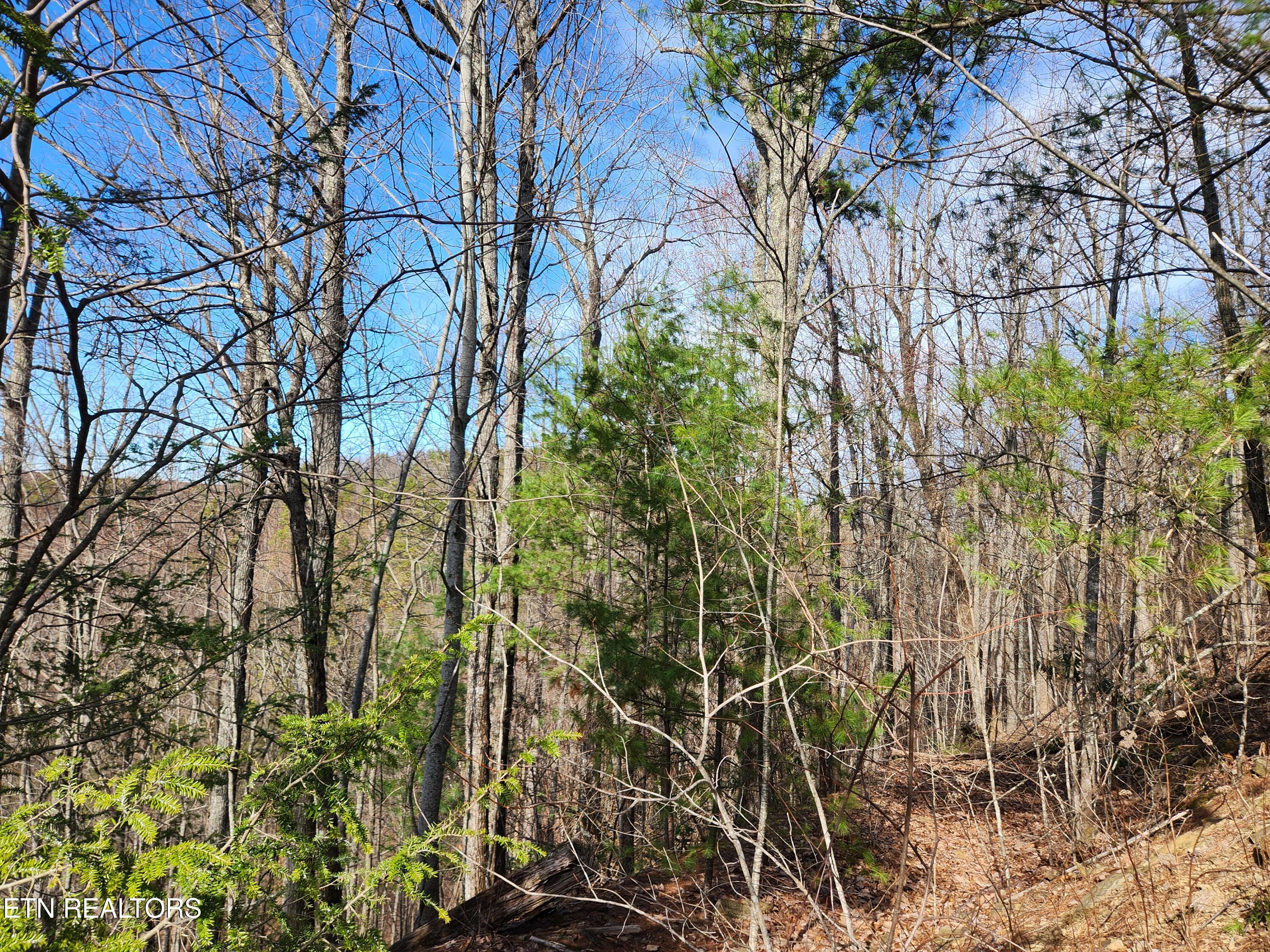 Lot 46 Feld Wynde Close Way Sevierville TN 37862