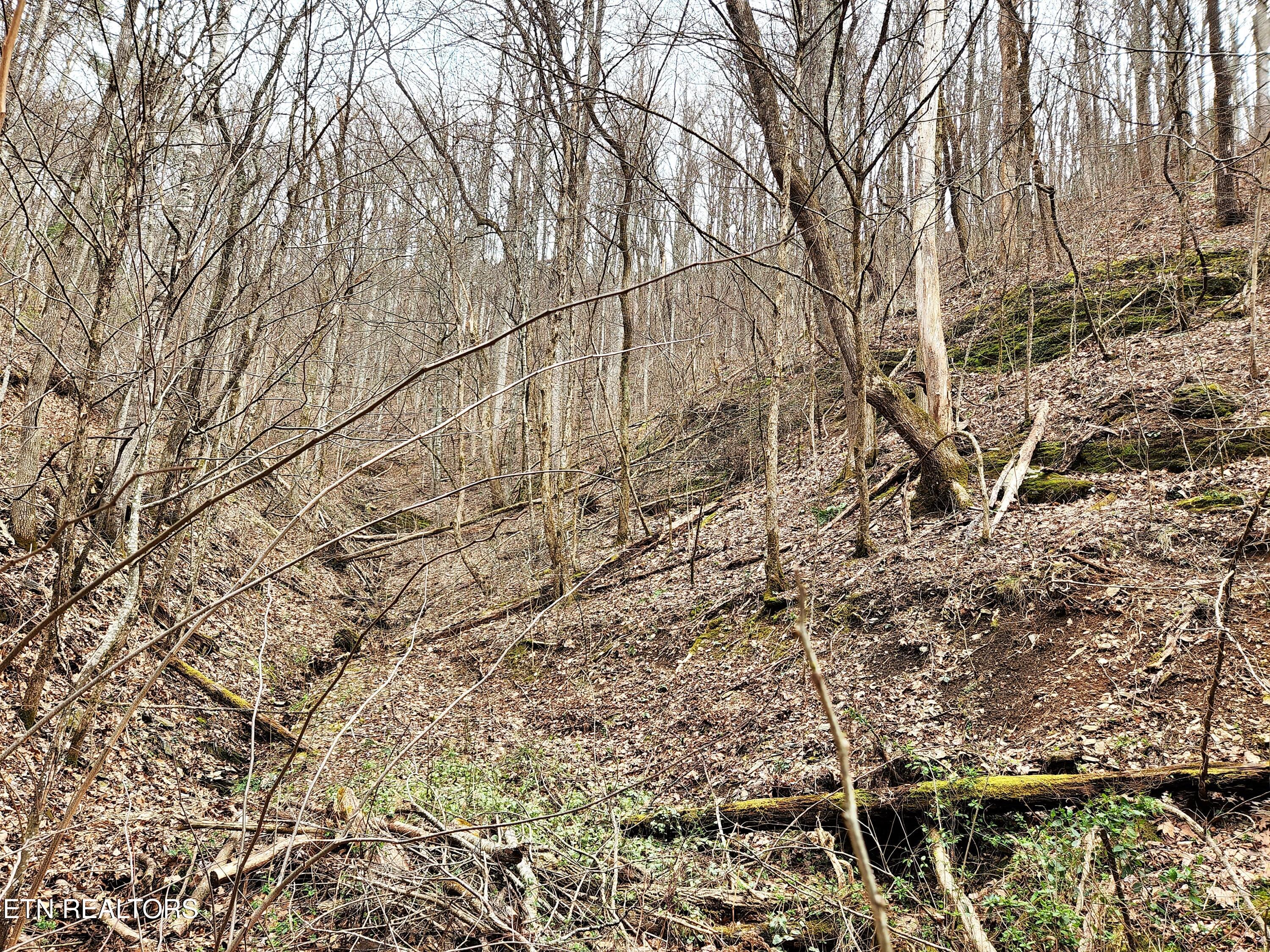 Lot 46 Feld Wynde Close Way Sevierville TN 37862