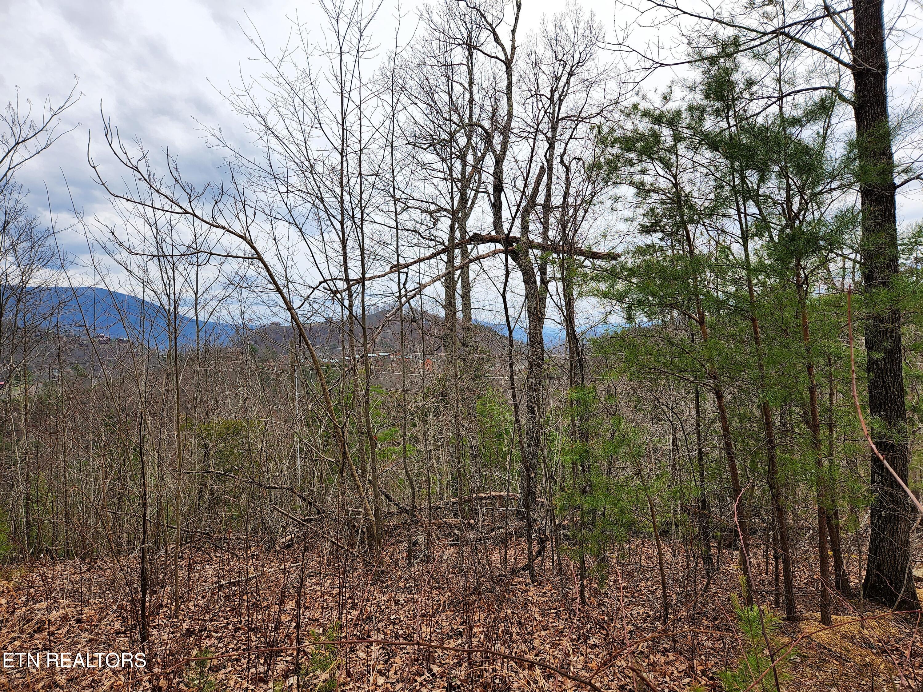 Lot 46 Feld Wynde Close Way Sevierville TN 37862