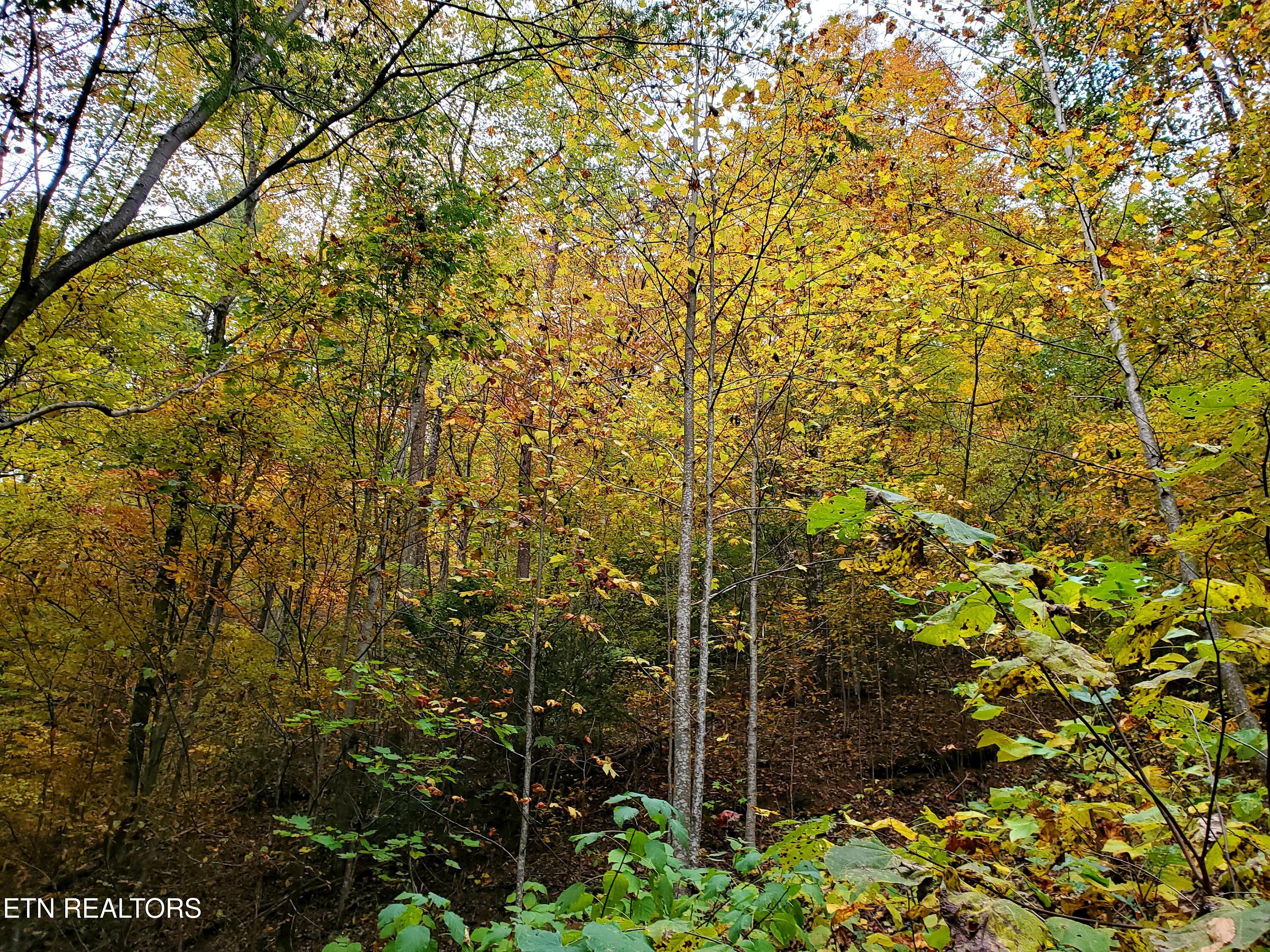 Lot 46 Feld Wynde Close Way Sevierville TN 37862