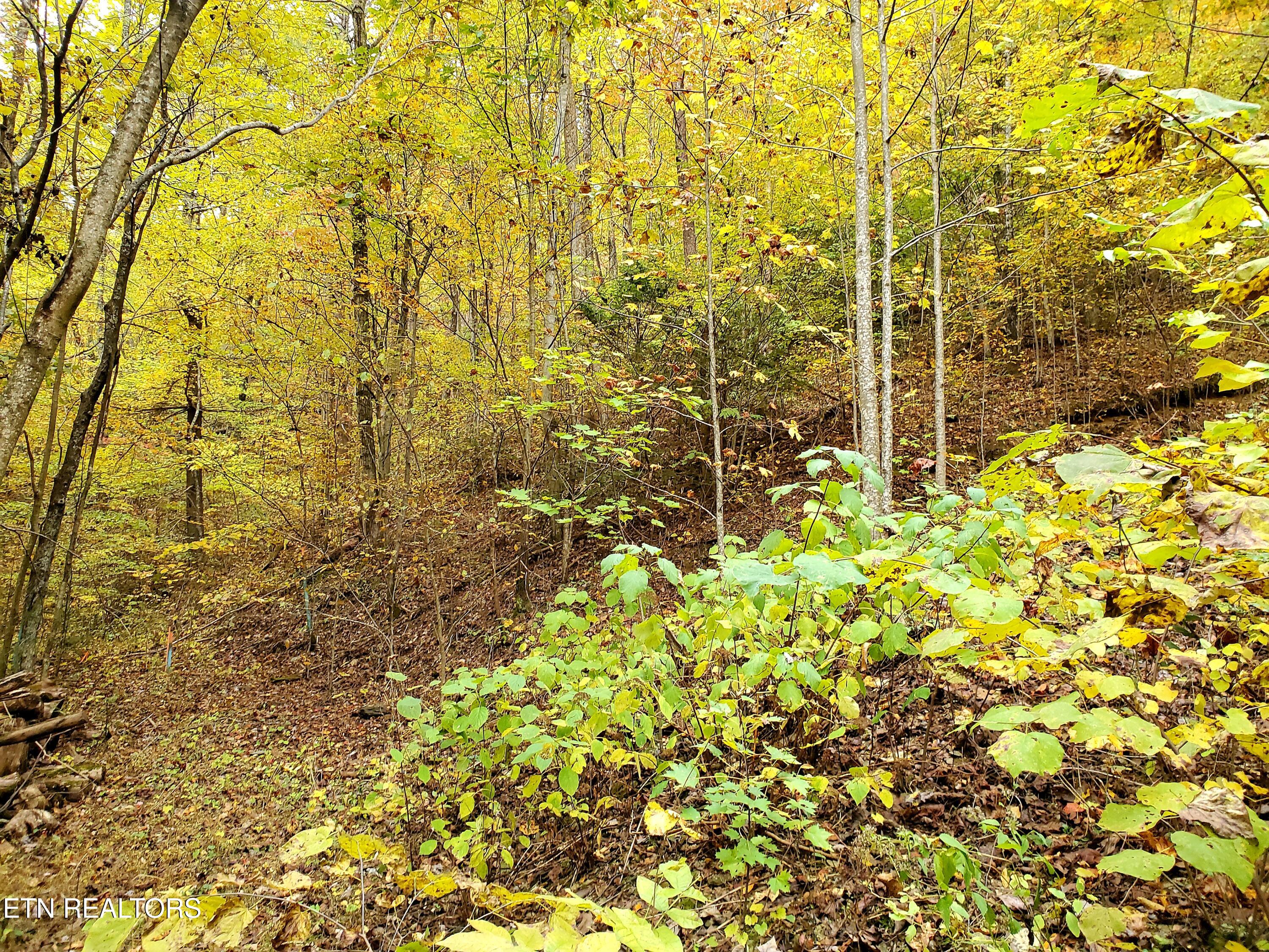 Lot 46 Feld Wynde Close Way Sevierville TN 37862