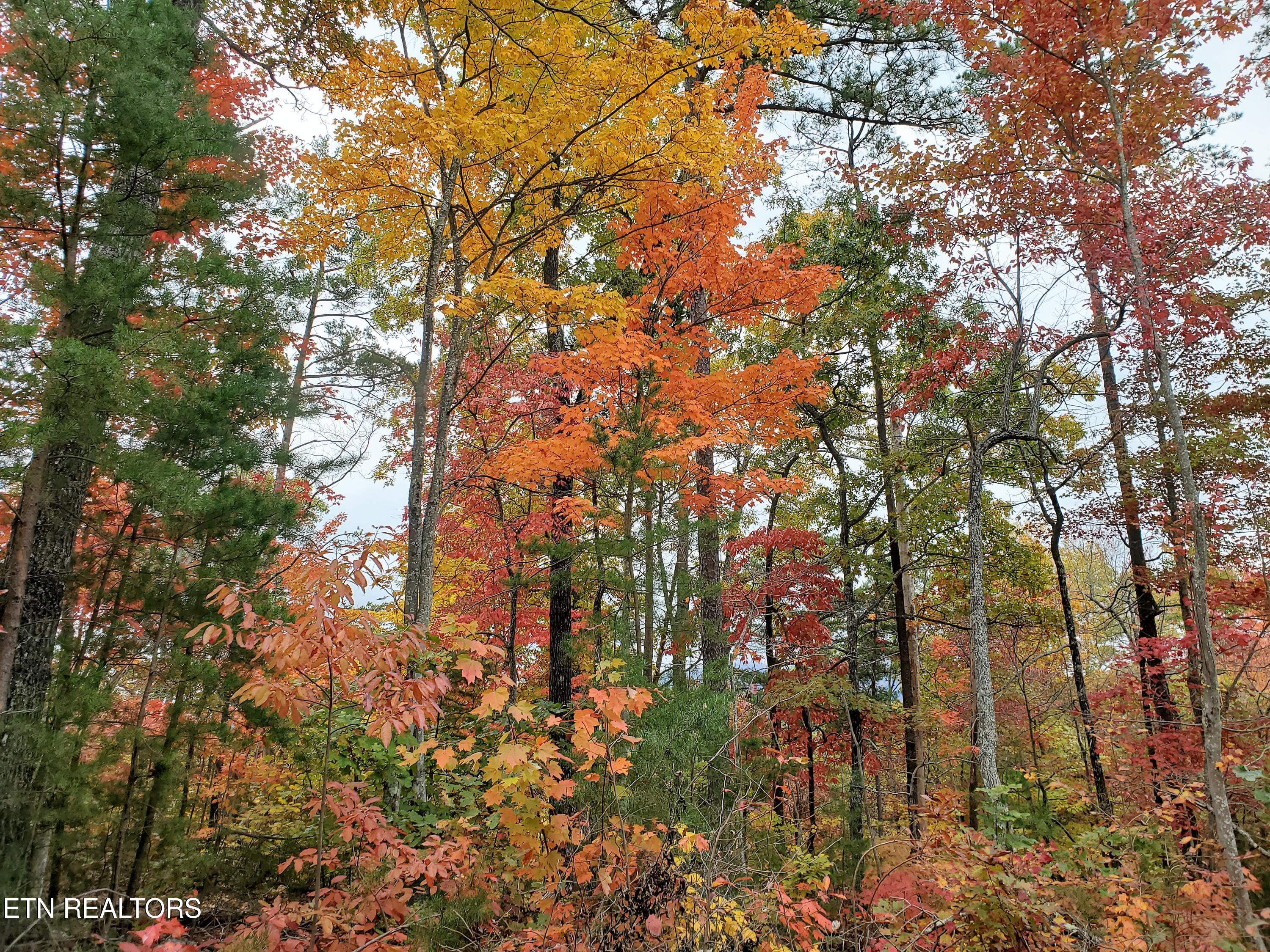 Lot 46 Feld Wynde Close Way Sevierville TN 37862
