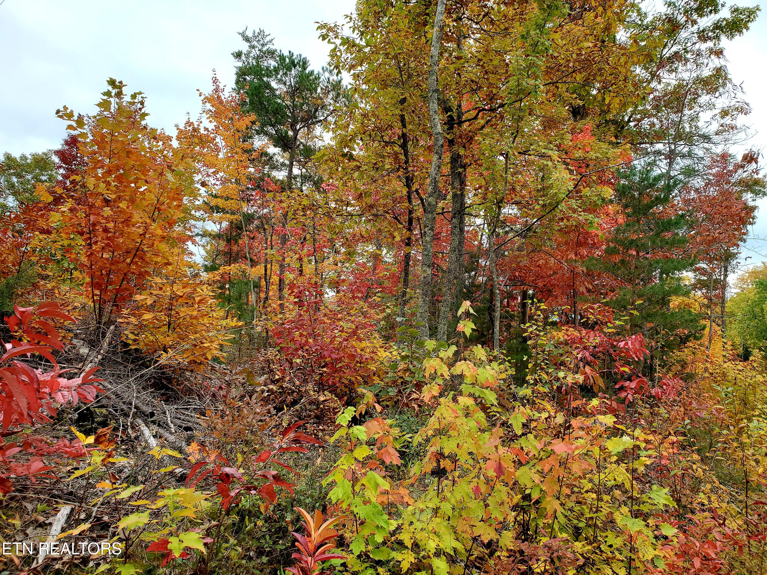 Lot 46 Feld Wynde Close Way Sevierville TN 37862