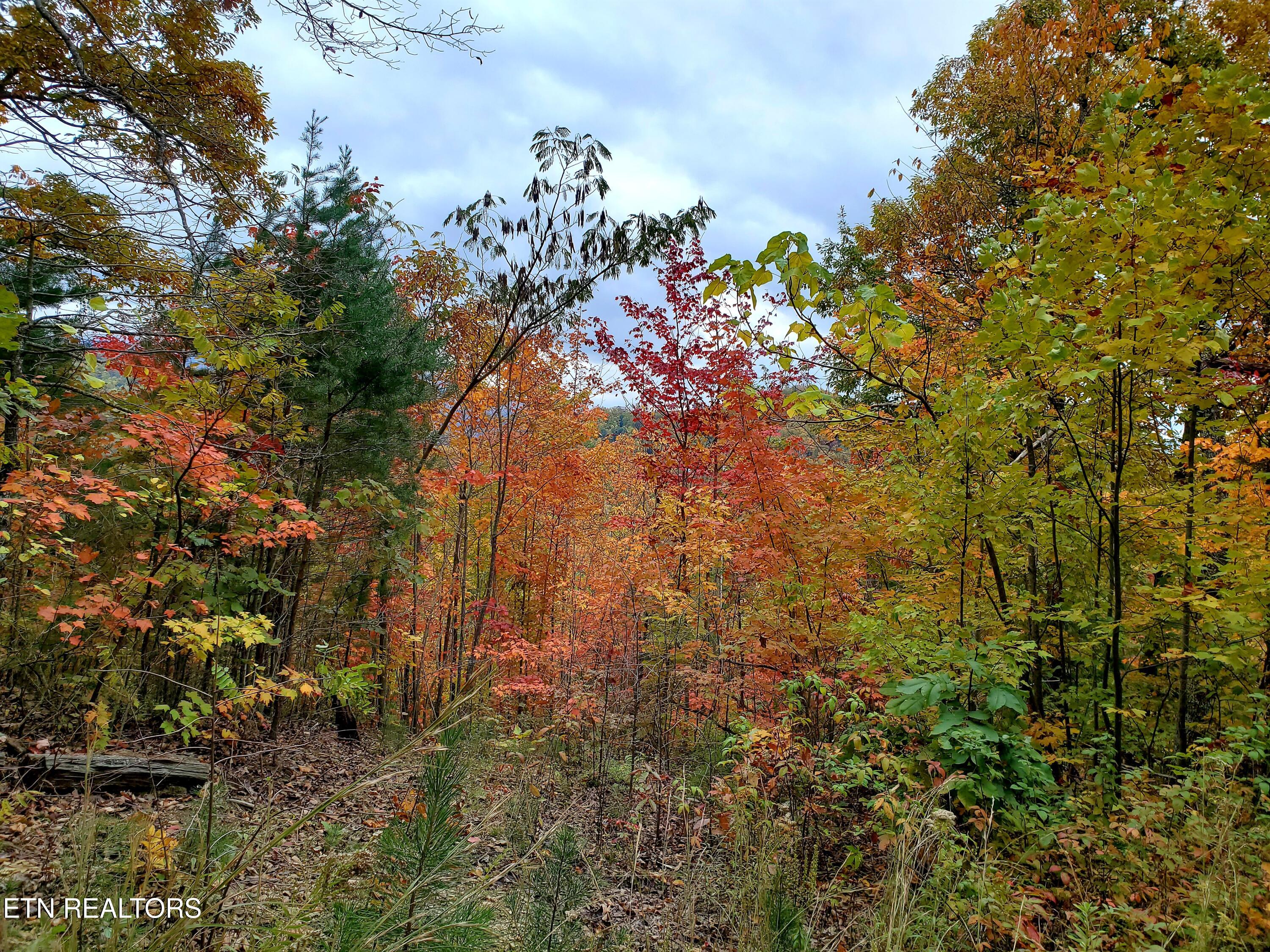 Lot 46 Feld Wynde Close Way Sevierville TN 37862
