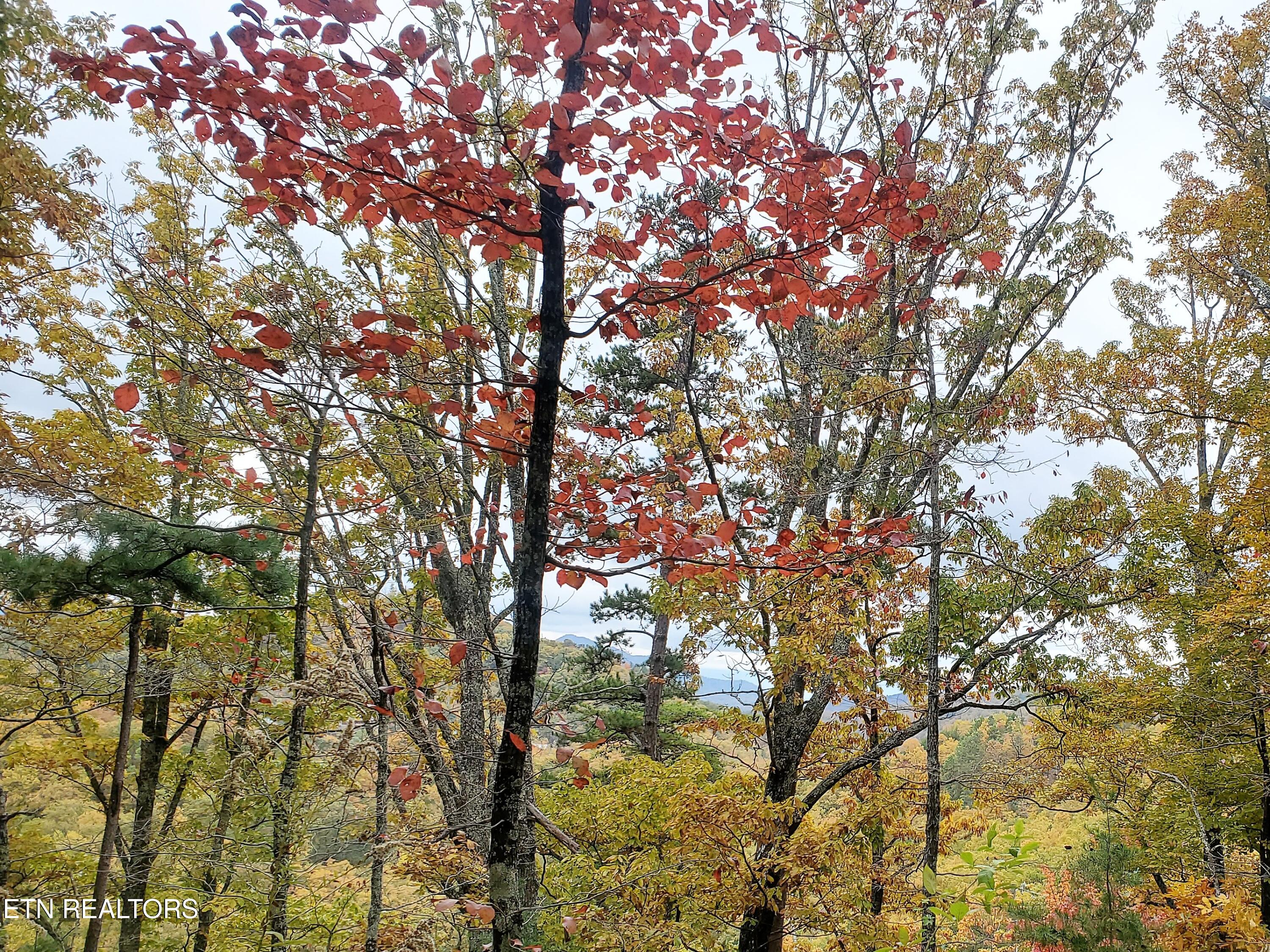 Lot 46 Feld Wynde Close Way Sevierville TN 37862