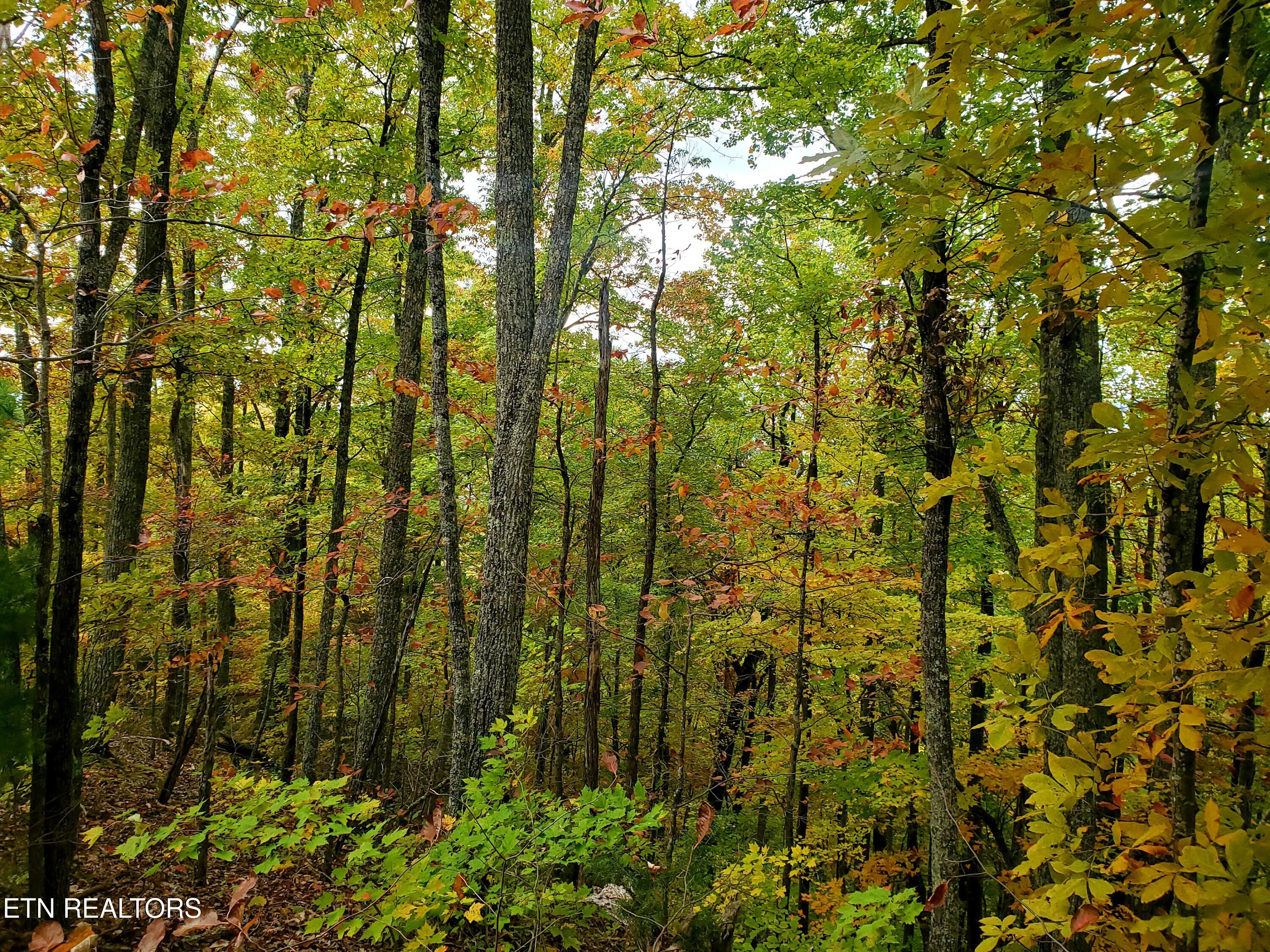 Lot 46 Feld Wynde Close Way Sevierville TN 37862